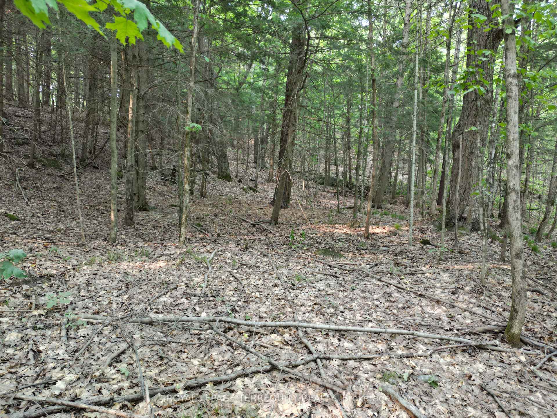 Photo 2 of 00 Buckslide Rd, Algonquin Highlands, Stanhope — HOMEH