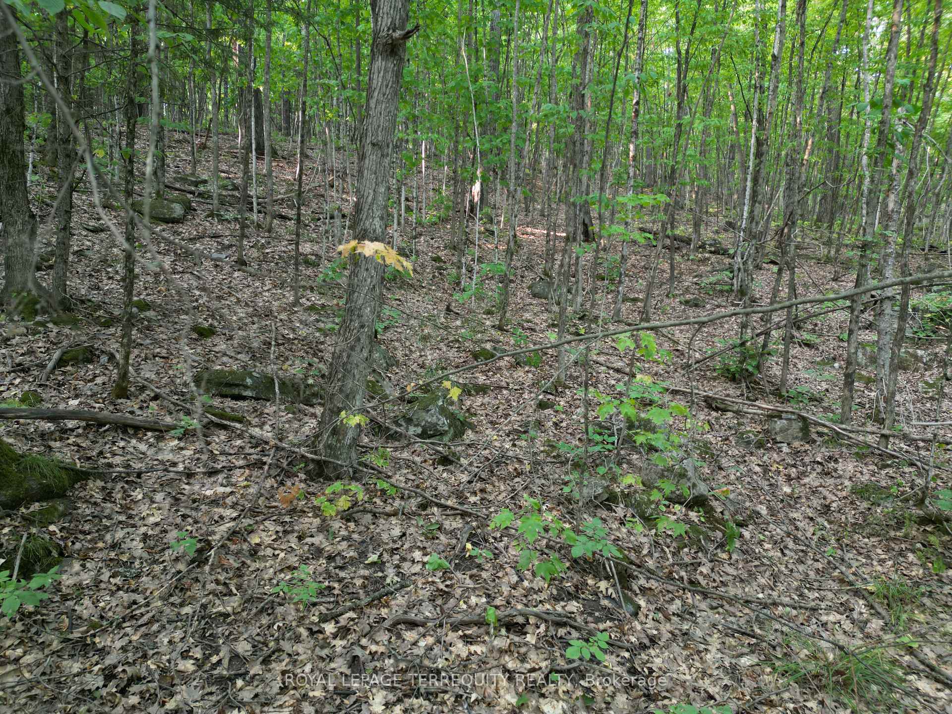 Photo 10 of 00 Buckslide Rd, Algonquin Highlands, Stanhope — HOMEH