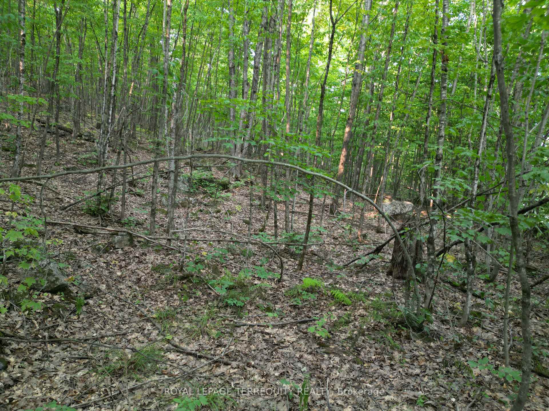 Photo 5 of 00 Buckslide Rd, Algonquin Highlands, Stanhope — HOMEH