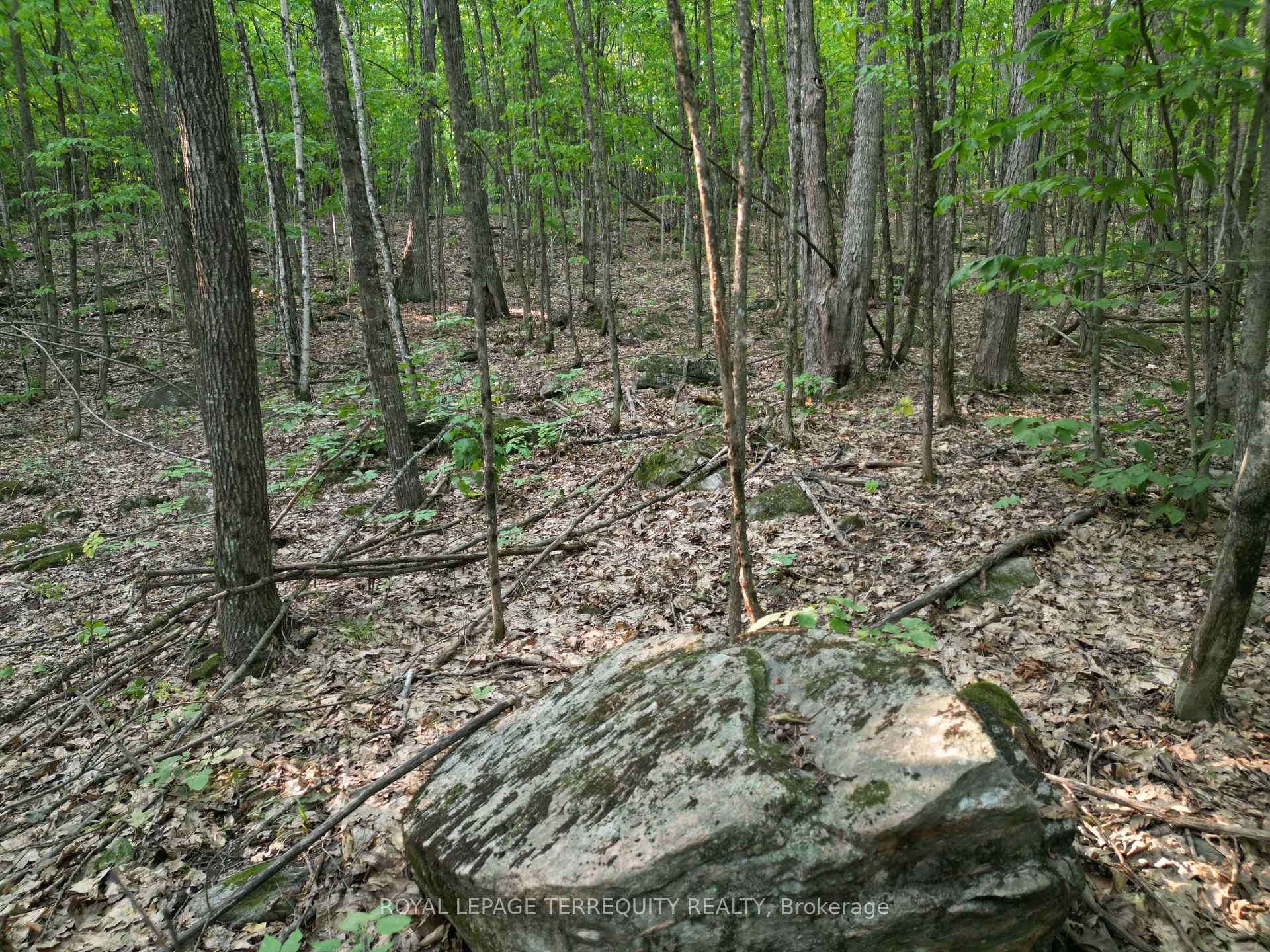 Photo 6 of 00 Buckslide Rd, Algonquin Highlands, Stanhope — HOMEH