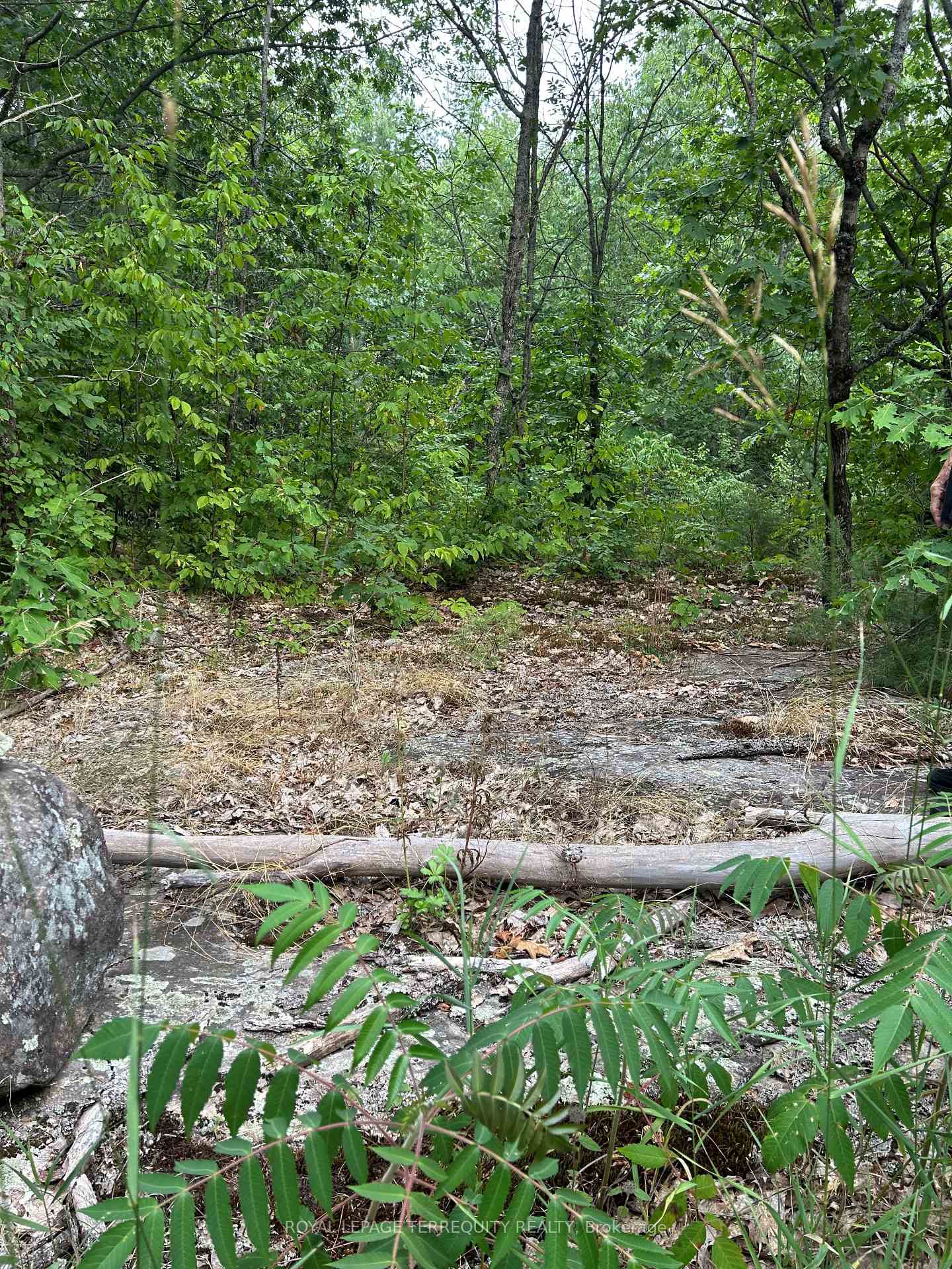 Photo 7 of 00 Buckslide Rd, Algonquin Highlands, Stanhope — HOMEH