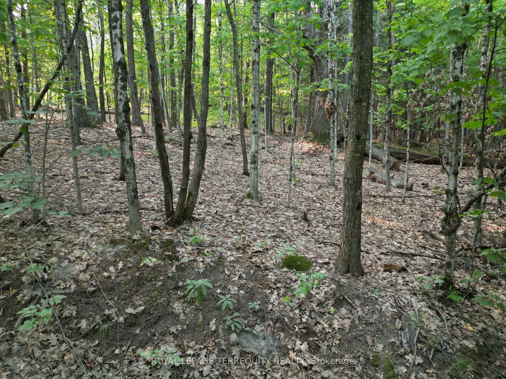 Photo 3 of 00 Buckslide Rd, Algonquin Highlands, Stanhope — HOMEH