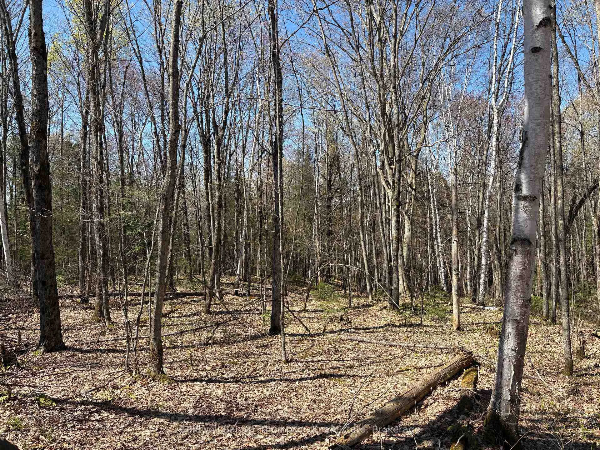 Photo 5 of Hemlock Road, Powassan — HOMEH