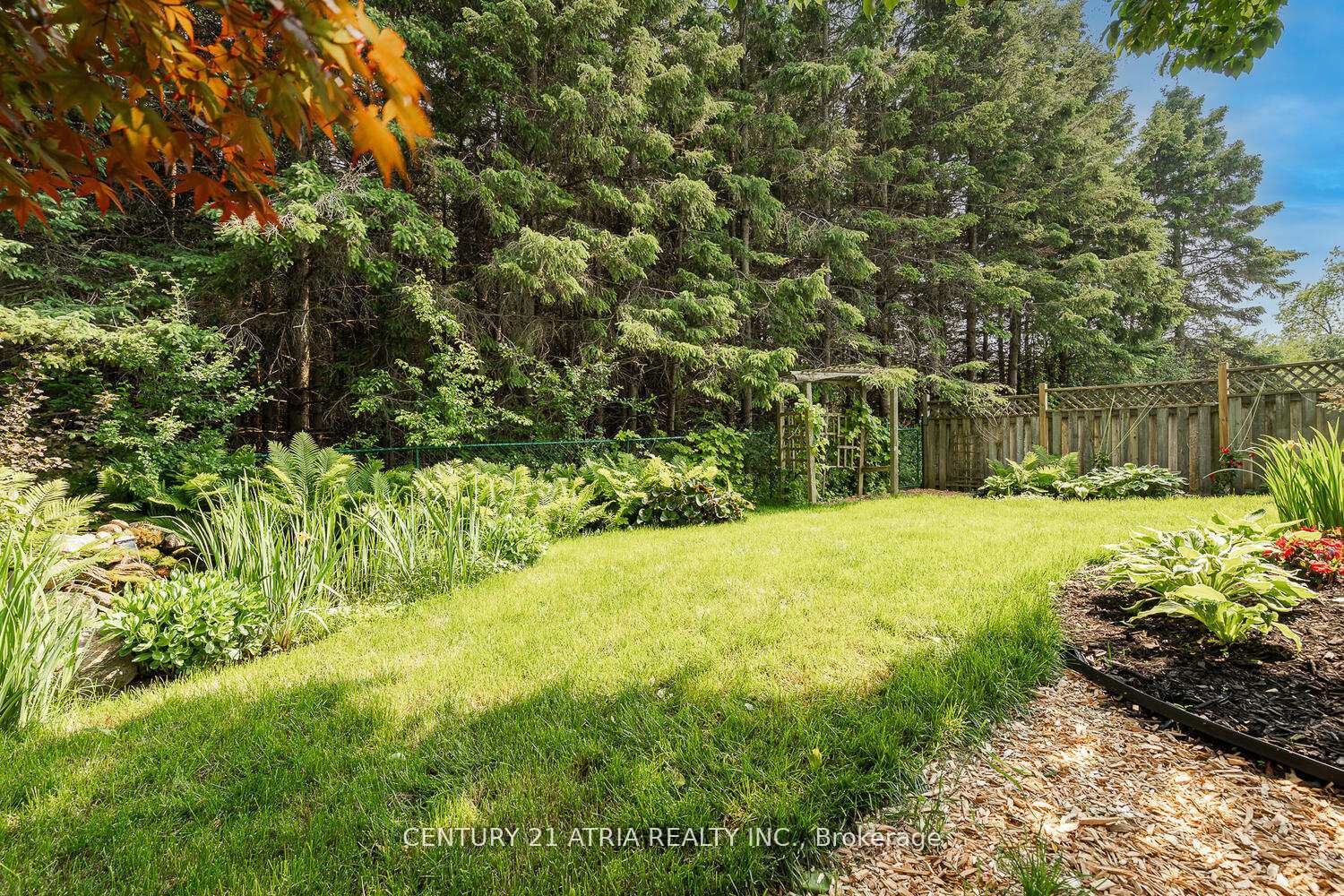 Photo 3 of 91 Dawlish Avenue, Aurora, Aurora Highlands — HOMEH