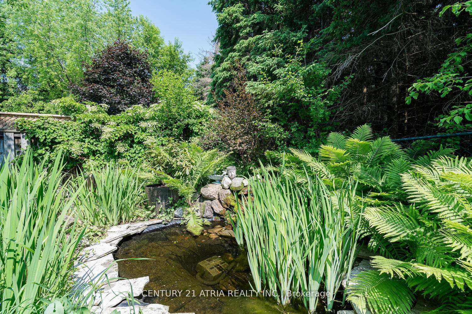 Photo 8 of 91 Dawlish Avenue, Aurora, Aurora Highlands — HOMEH