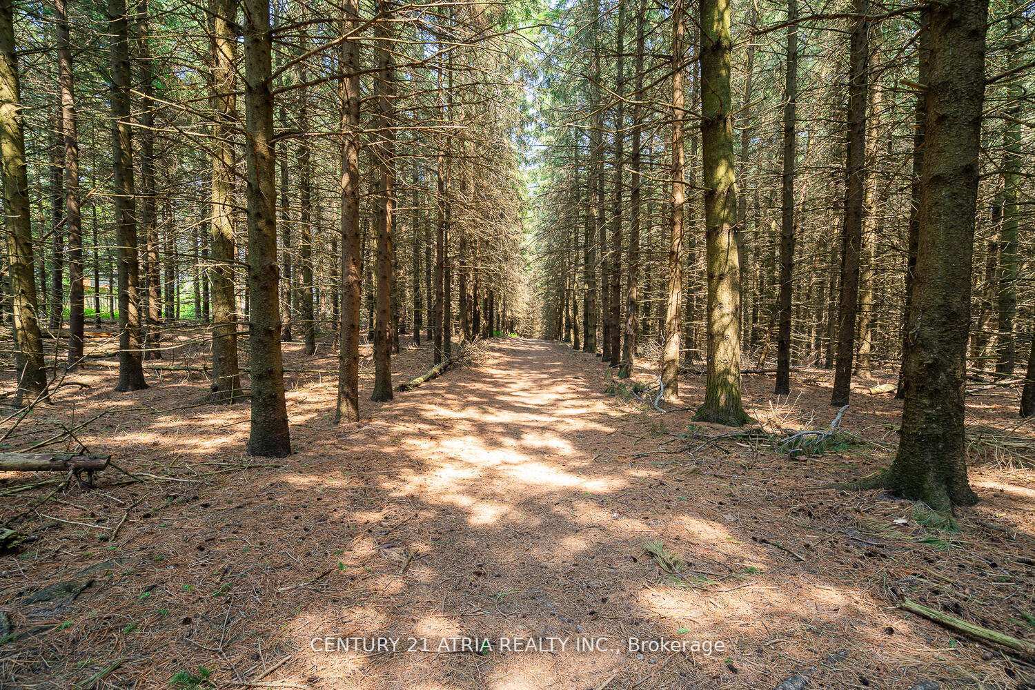 Photo 17 of 91 Dawlish Avenue, Aurora, Aurora Highlands — HOMEH