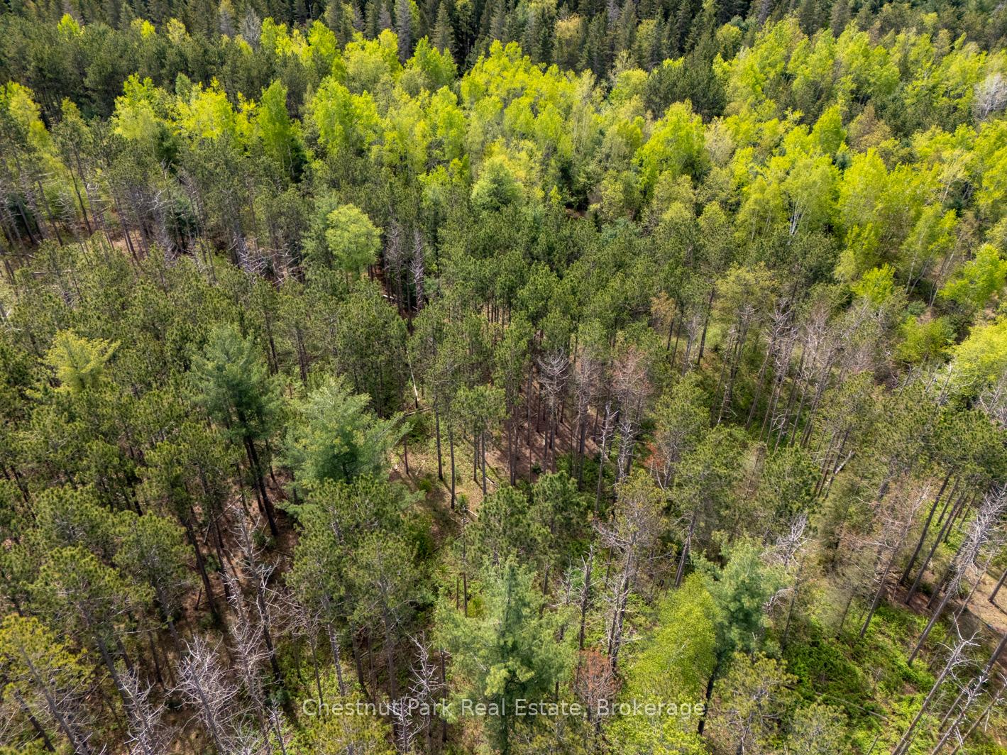 Photo 12 of PT 2 LT 24 4th Line E, Mulmur, Rural Mulmur — HOMEH