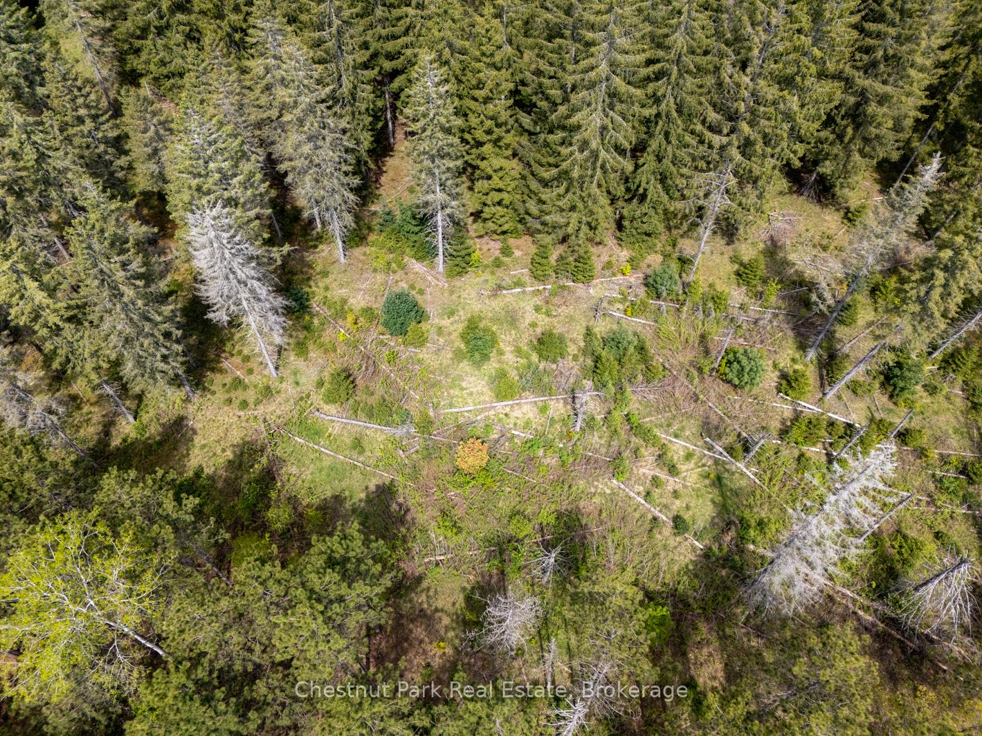 Photo 13 of PT 2 LT 24 4th Line E, Mulmur, Rural Mulmur — HOMEH