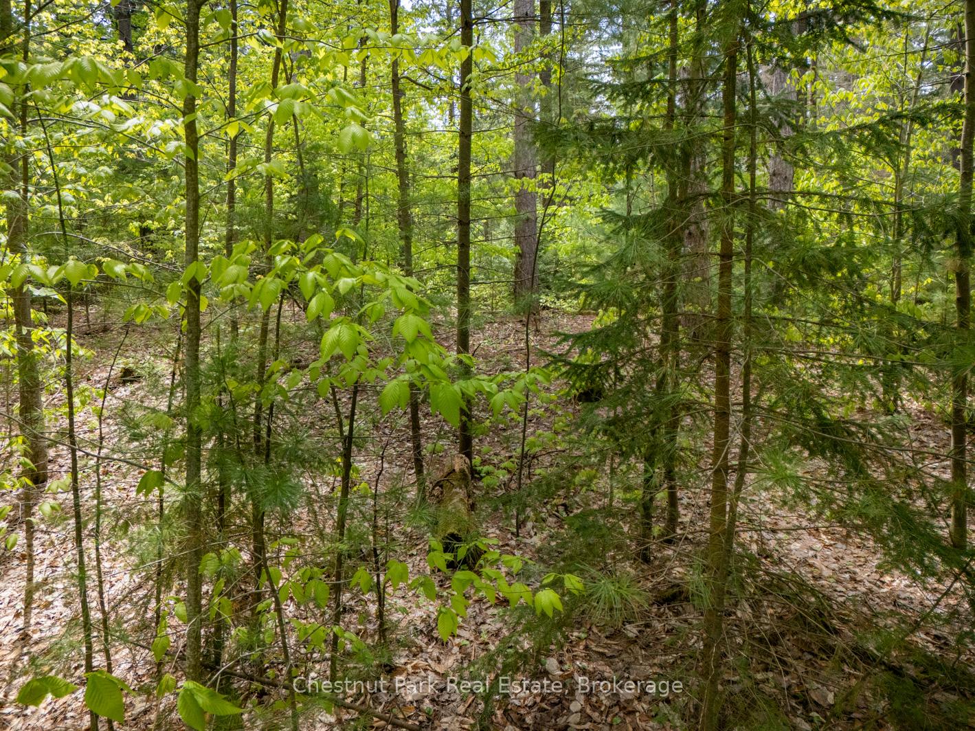 Photo 20 of PT 2 LT 24 4th Line E, Mulmur, Rural Mulmur — HOMEH