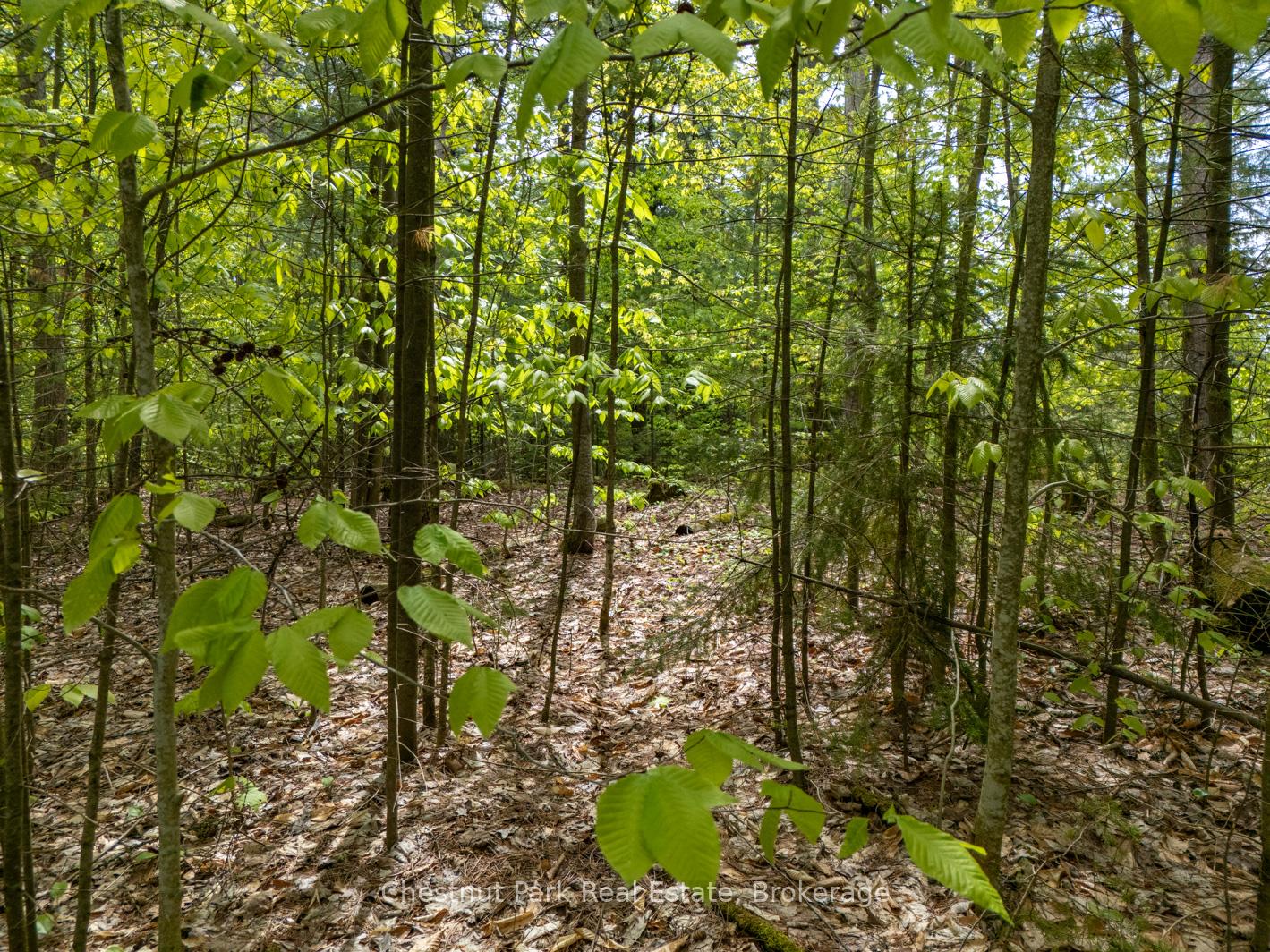 Photo 10 of PT 2 LT 24 4th Line E, Mulmur, Rural Mulmur — HOMEH