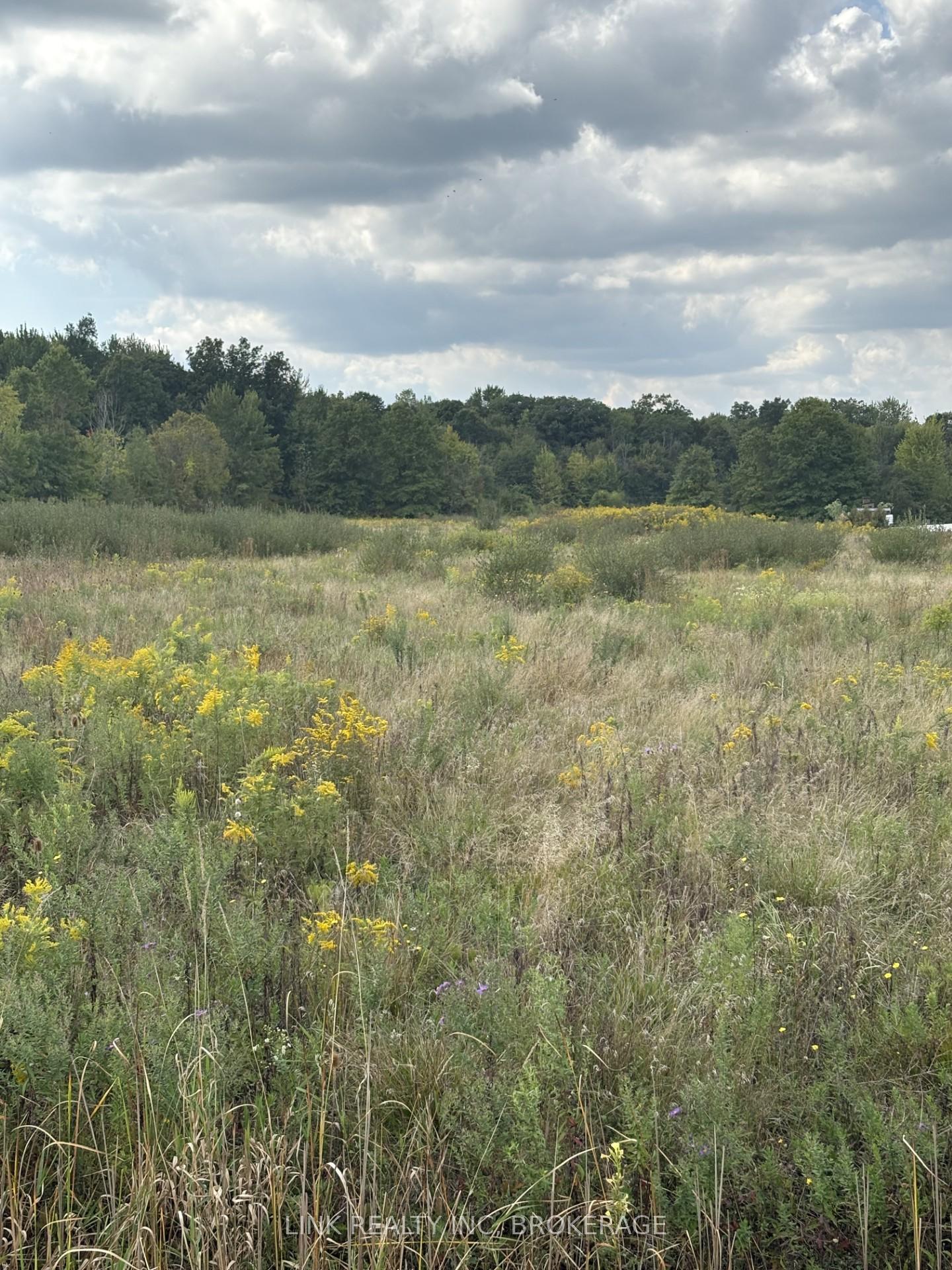 Photo 3 of Green Road S, Wainfleet, Marshville/Winger — HOMEH