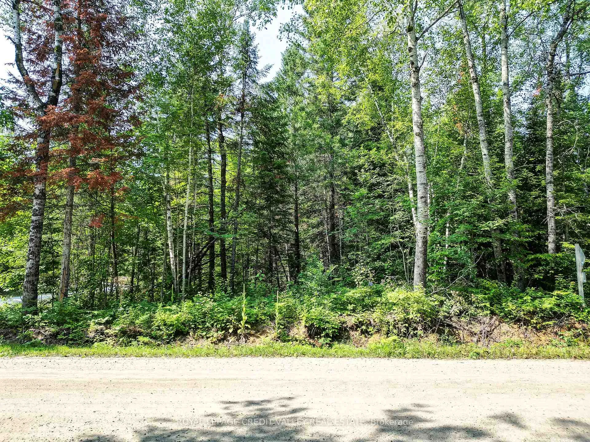 Photo 8 of 272 Glory Road, Hastings Highlands, Herschel Ward — HOMEH