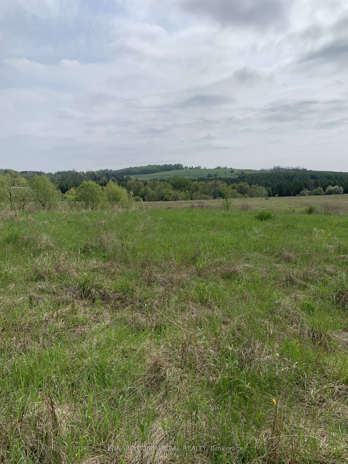 Front of 2881 20th Side Road