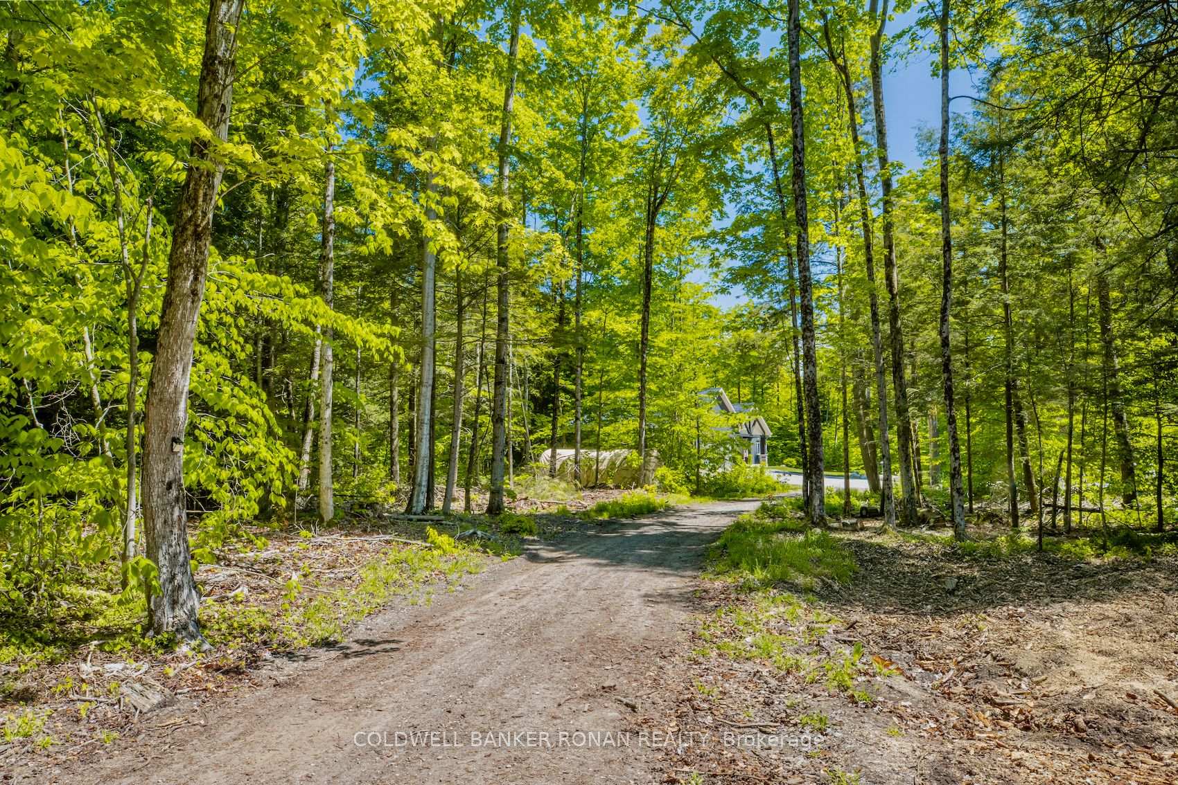 Photo 25 of 850 Tiny Beaches Road N, Tiny, Rural Tiny — HOMEH
