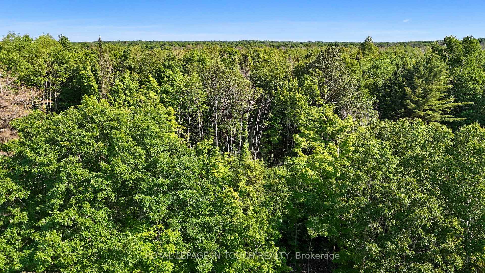 Photo 9 of 585 Champlain Road, Tiny, Rural Tiny — HOMEH