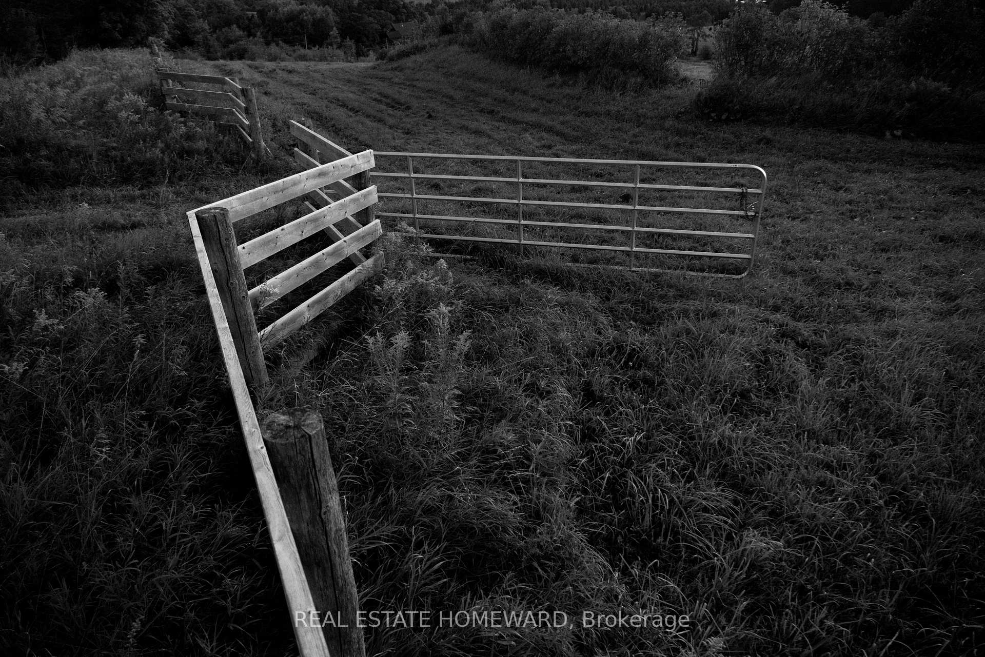Photo 17 of 876917 5th Line S, Mulmur, Rural Mulmur — HOMEH