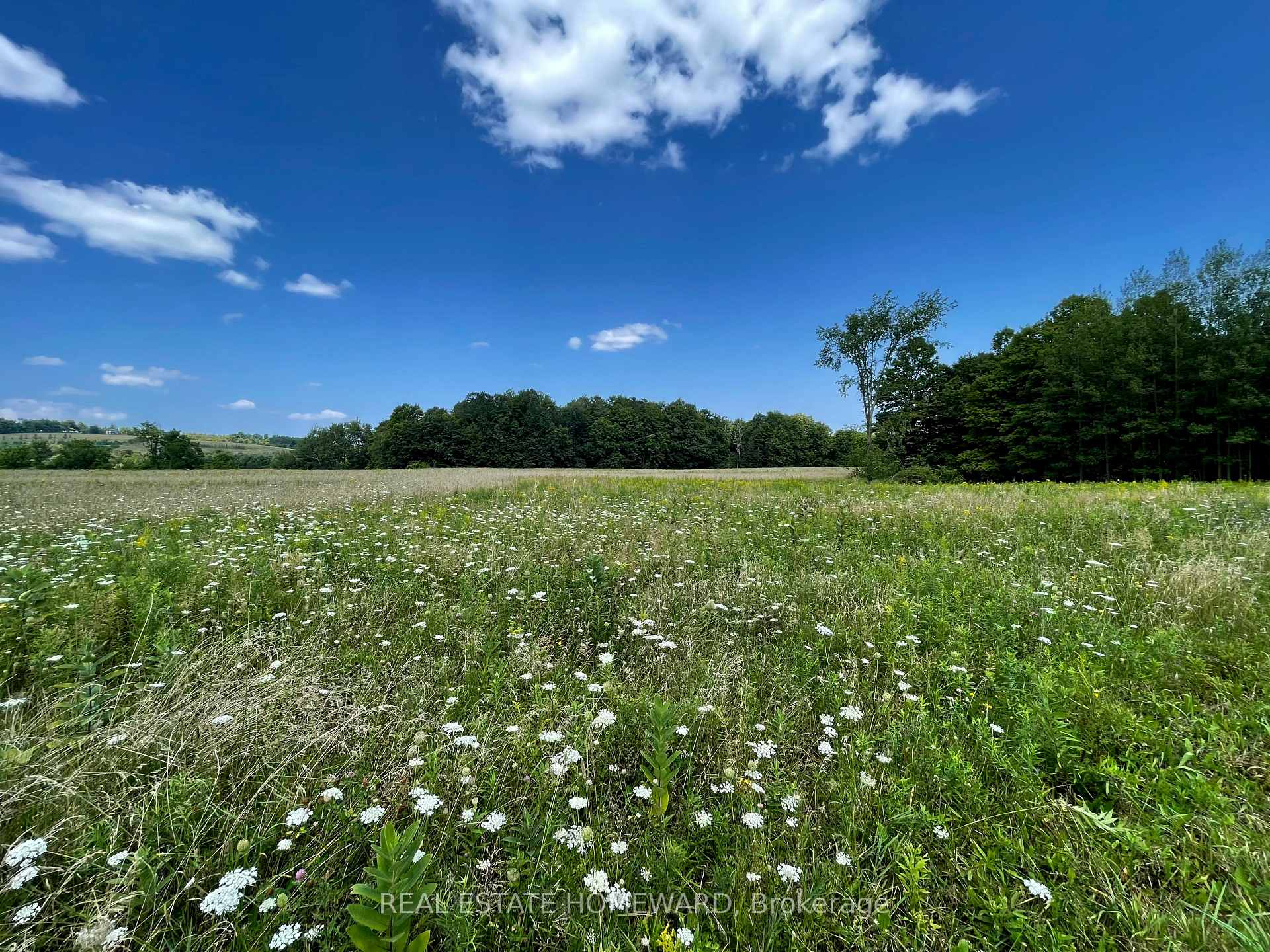 Photo 6 of 877217 5th Line S, Mulmur, Rural Mulmur — HOMEH