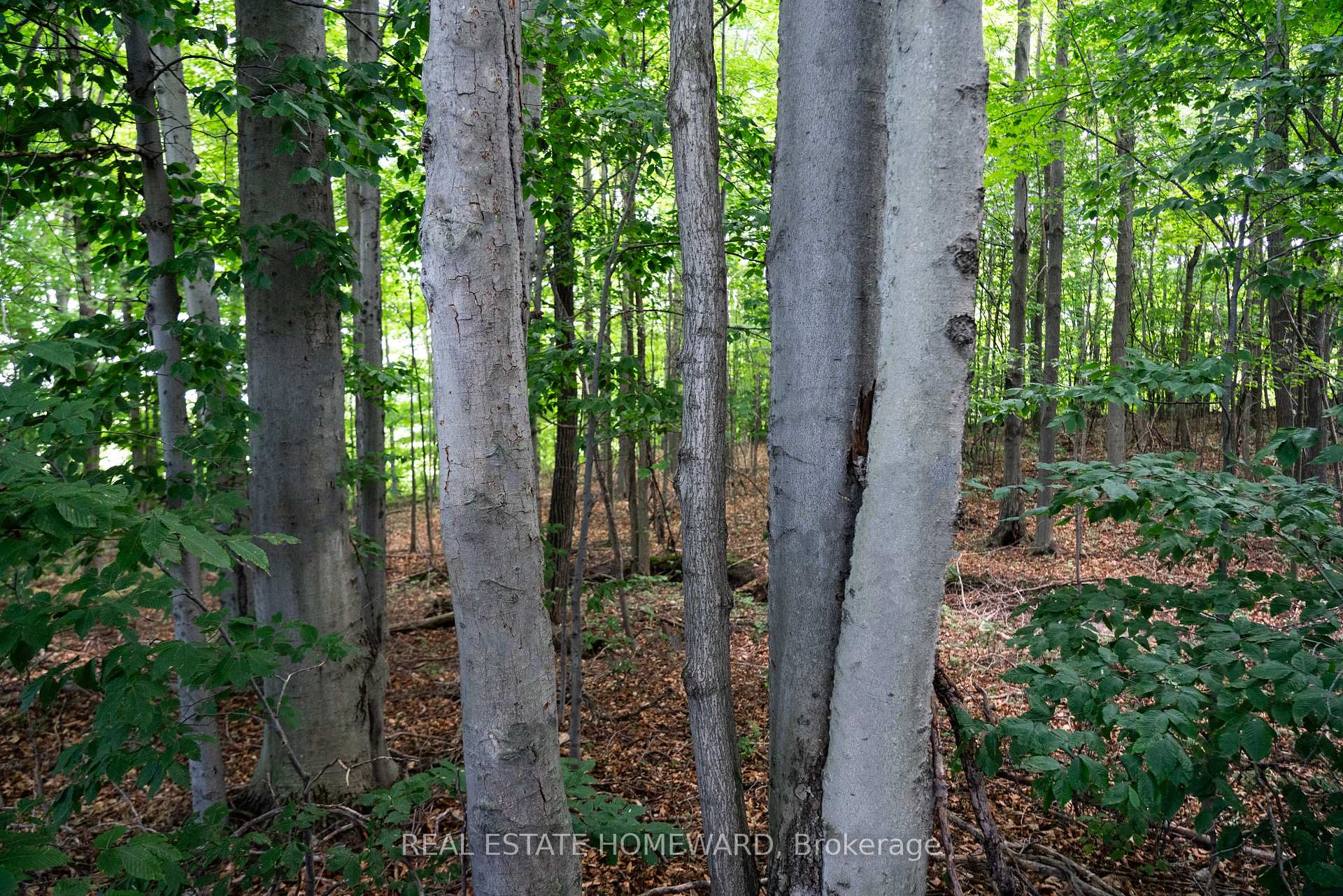Photo 25 of 877217 5th Line S, Mulmur, Rural Mulmur — HOMEH