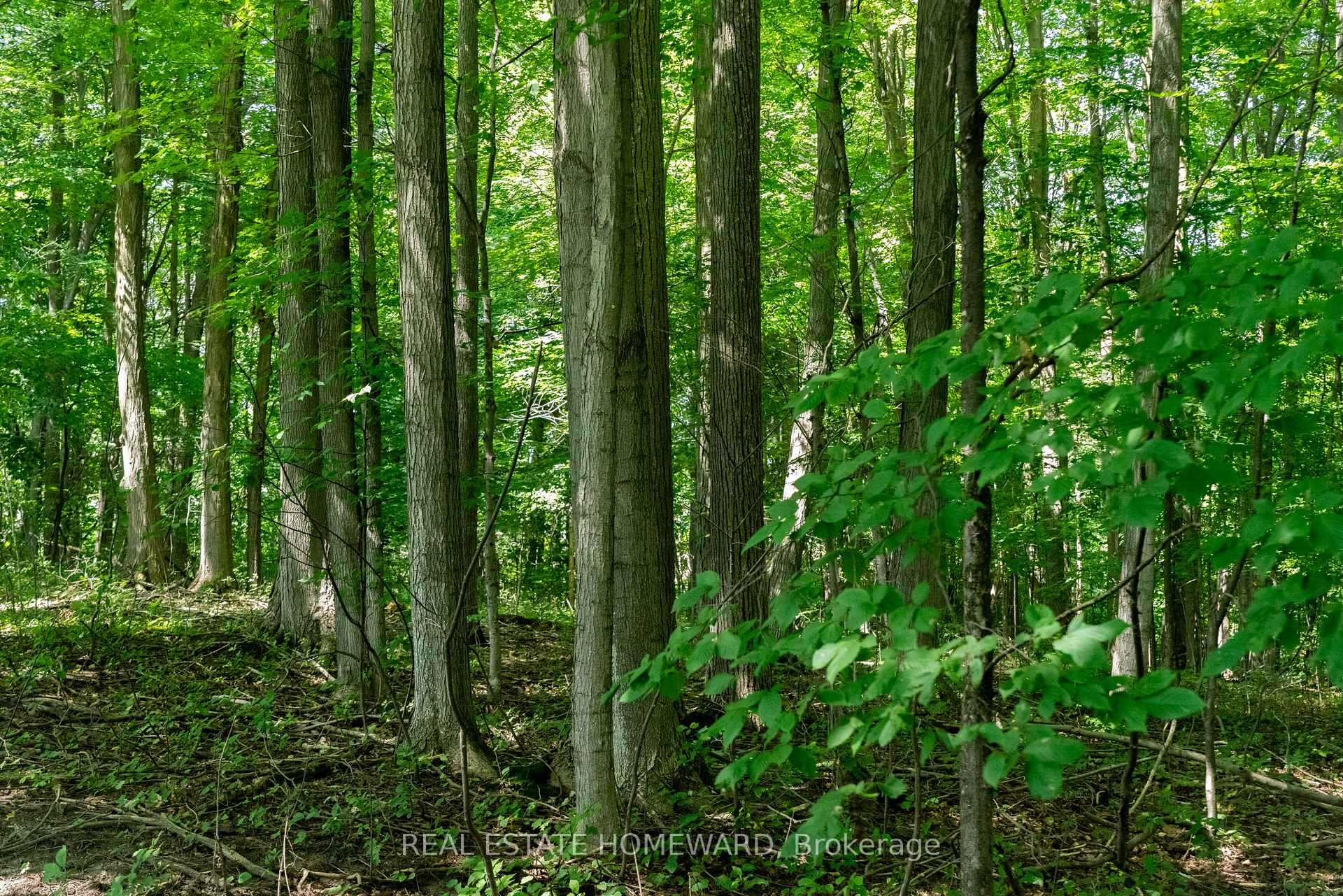 Photo 9 of 877217 5th Line S, Mulmur, Rural Mulmur — HOMEH