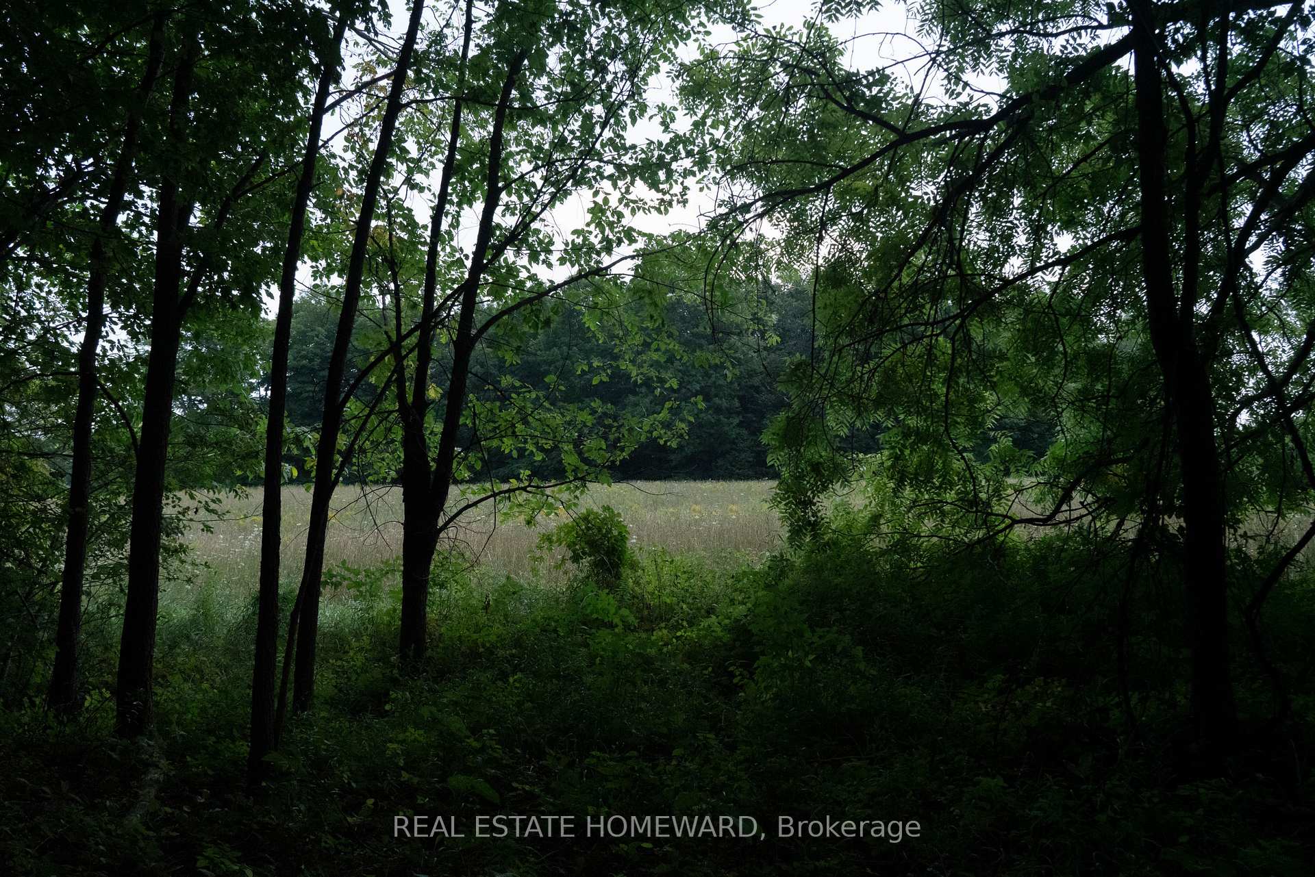 Photo 10 of 877217 5th Line S, Mulmur, Rural Mulmur — HOMEH