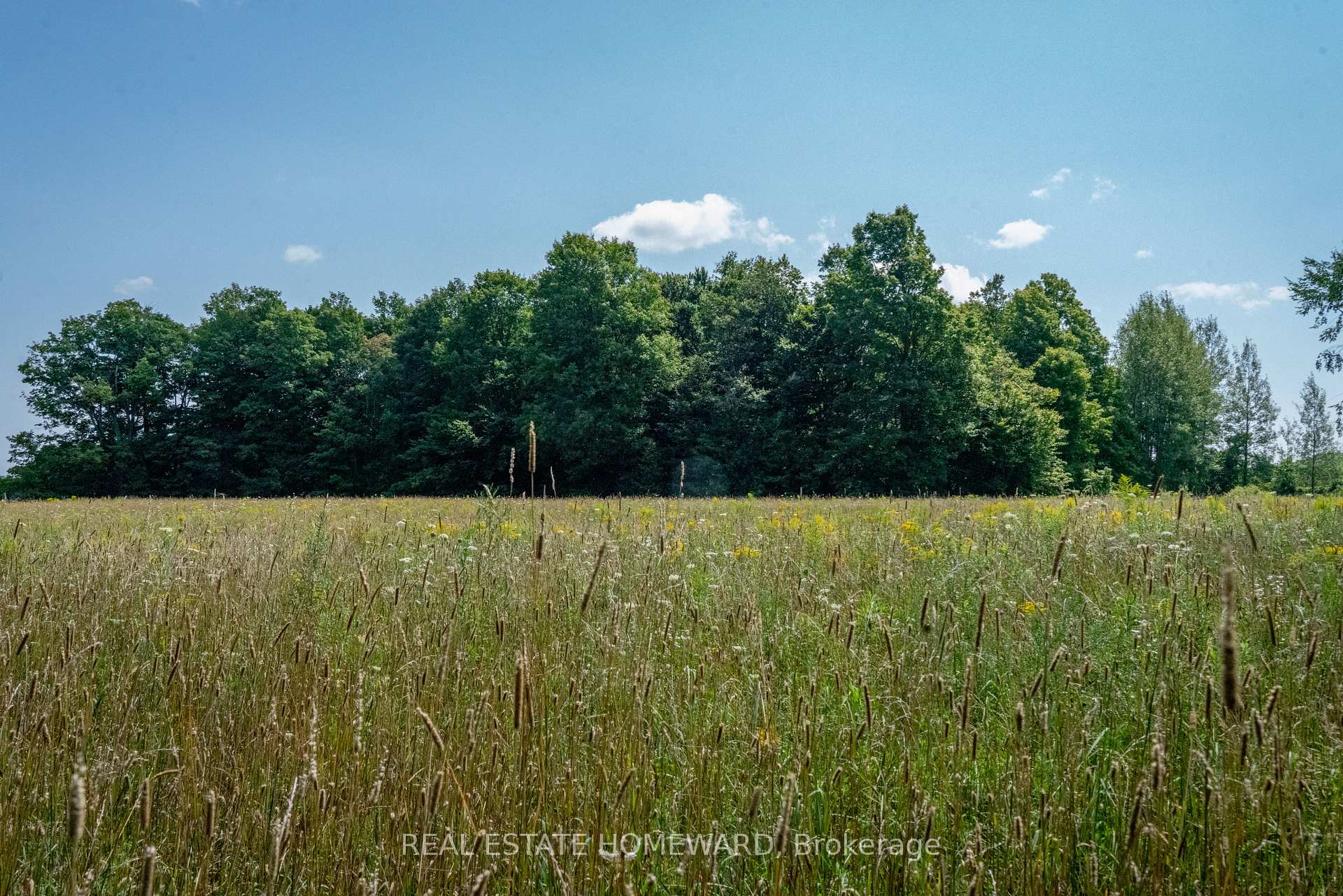 Photo 11 of 877217 5th Line S, Mulmur, Rural Mulmur — HOMEH