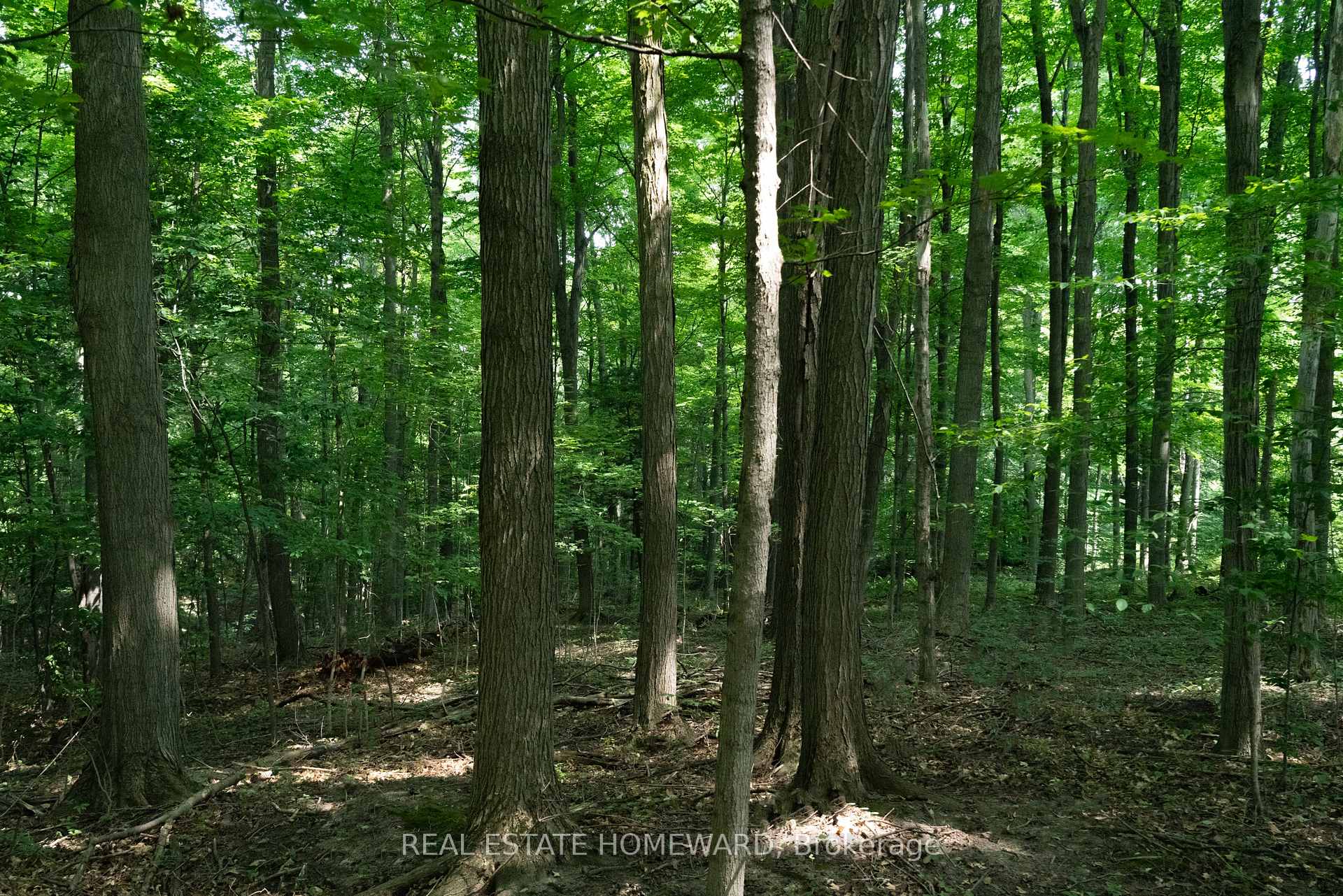 Photo 13 of 877217 5th Line S, Mulmur, Rural Mulmur — HOMEH
