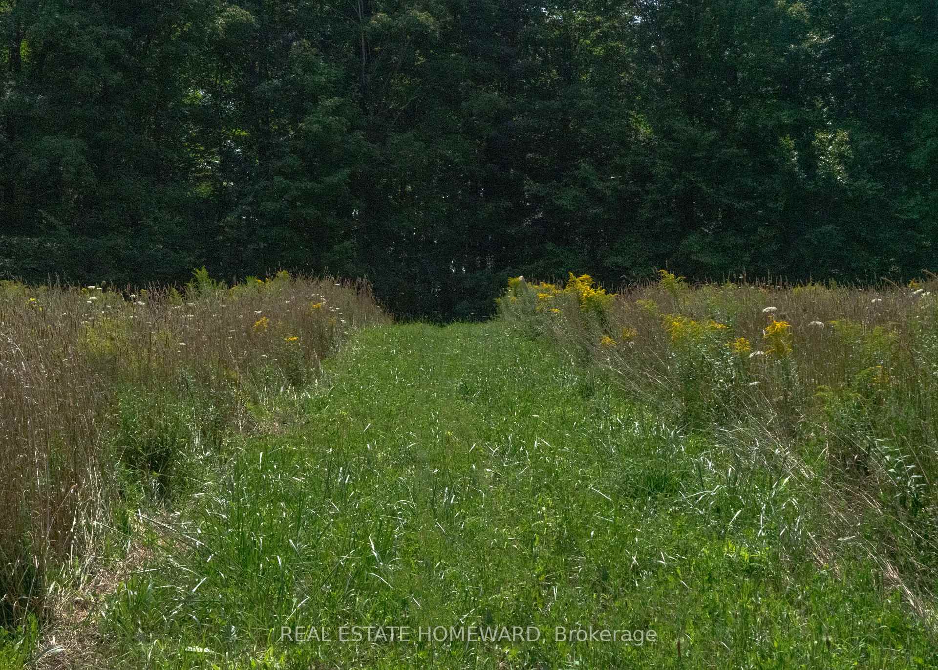Photo 26 of 877217 5th Line S, Mulmur, Rural Mulmur — HOMEH