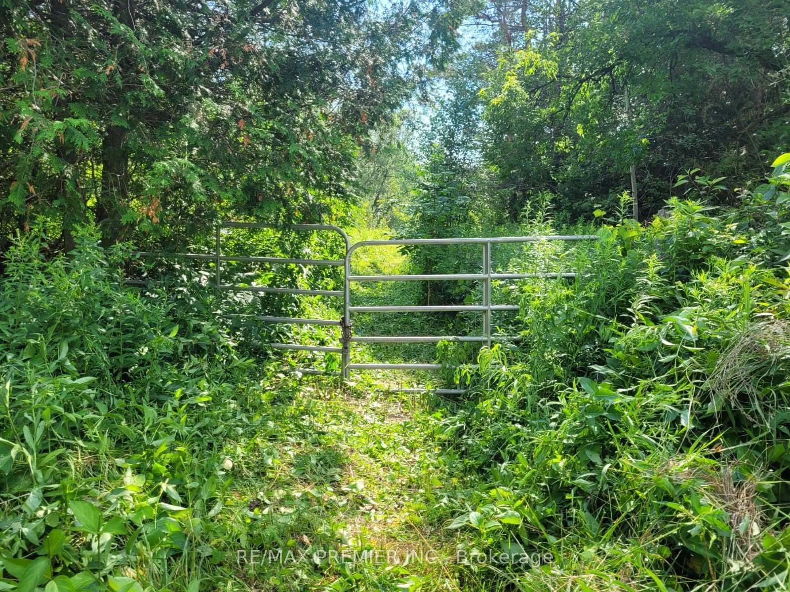 Photo 2 of 3350 Middle Road, Clarington, Bowmanville — HOMEH