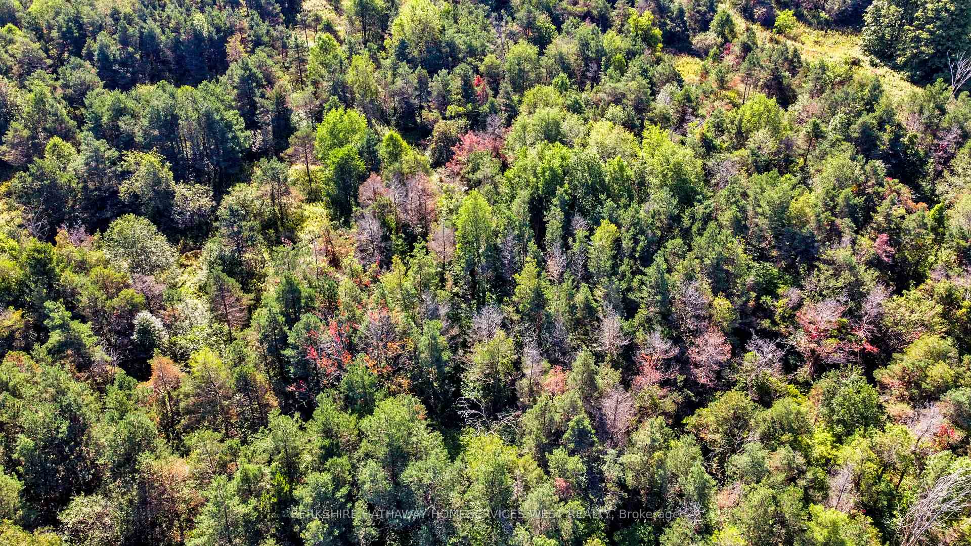 Photo 13 of Escarpment Side Road, Caledon, Rural Caledon — HOMEH