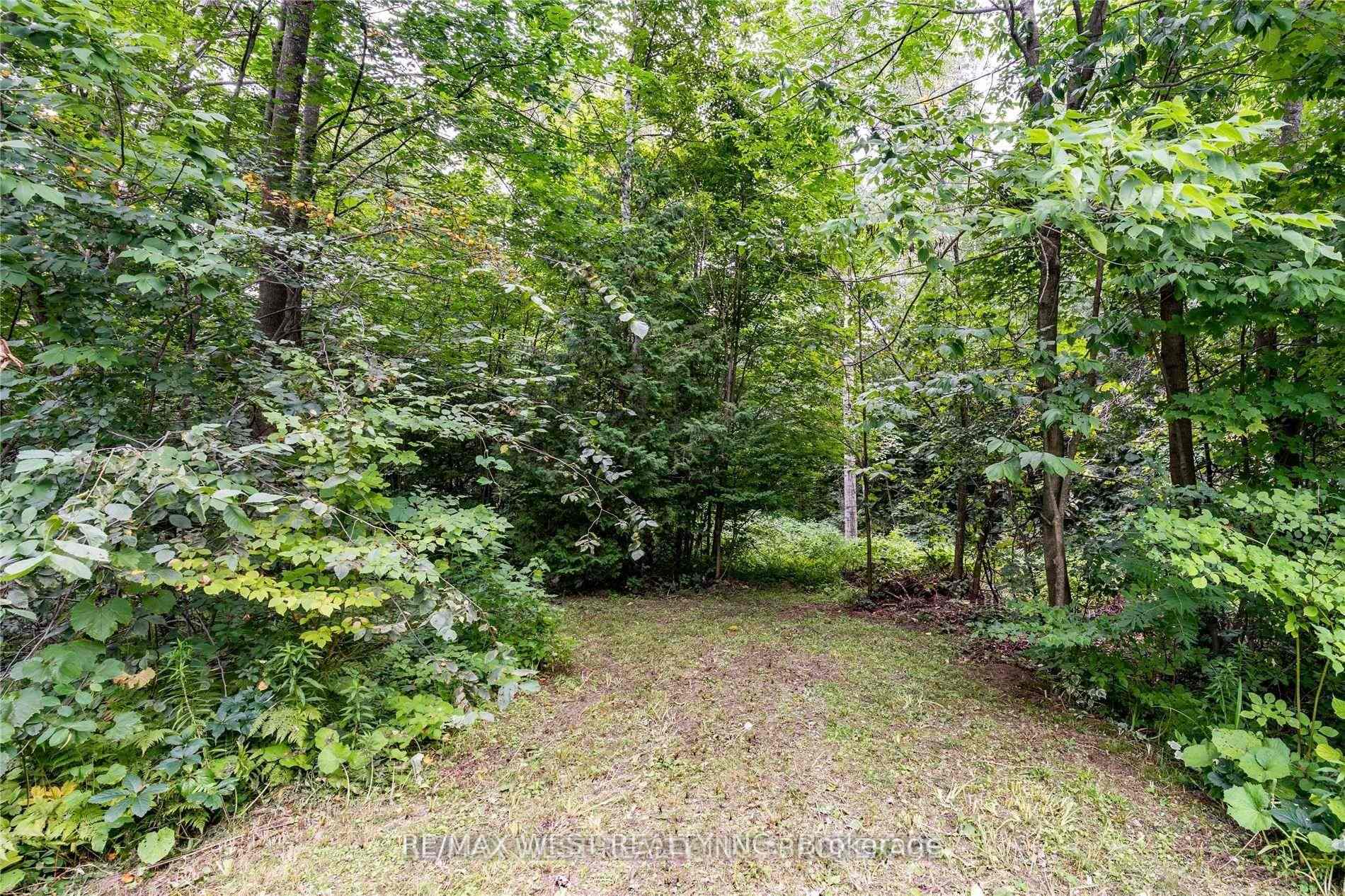 Photo 9 of Lot 12 Shier Avenue, Brock, Beaverton — HOMEH