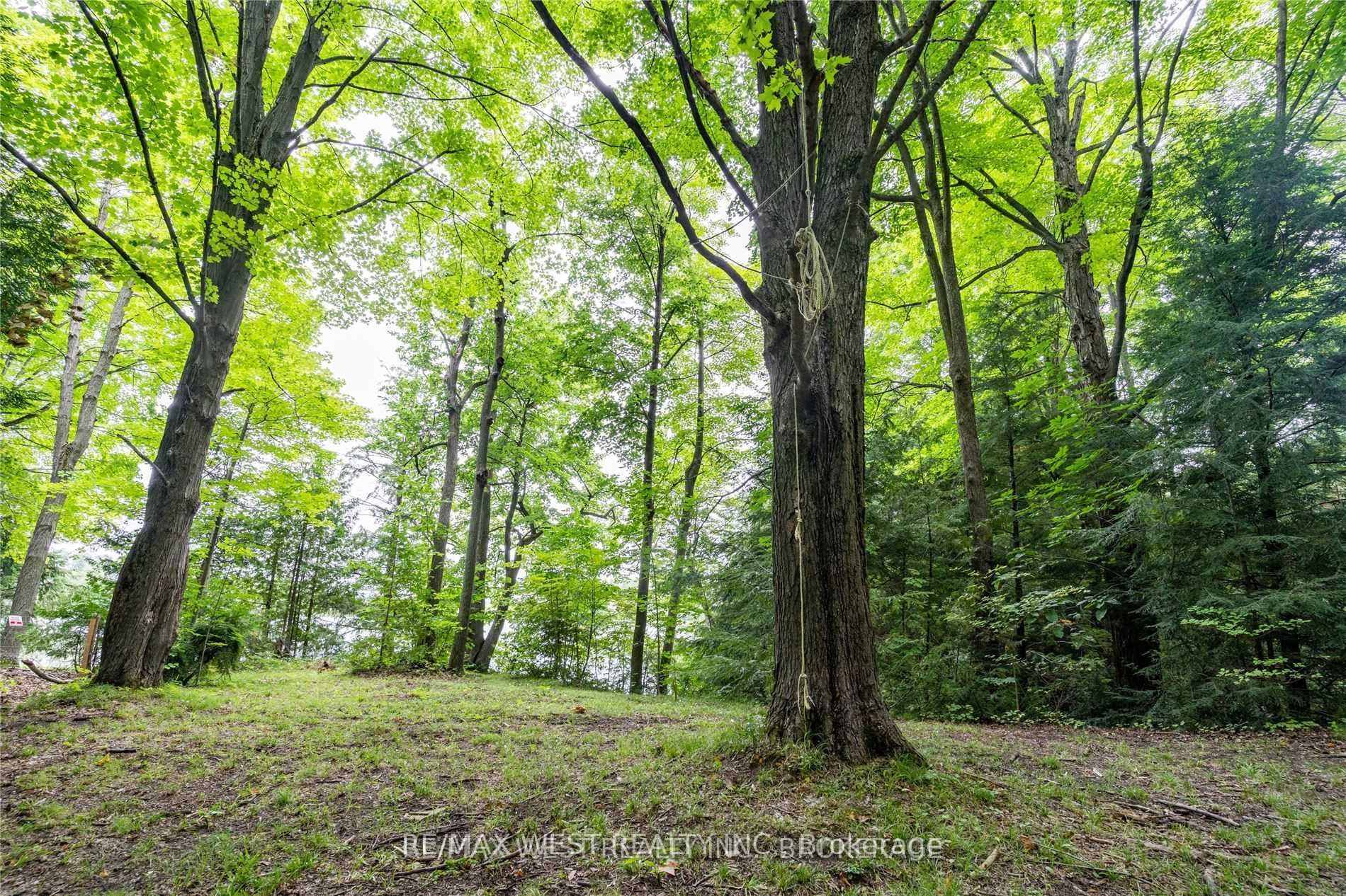 Photo 5 of Lot 12 Shier Avenue, Brock, Beaverton — HOMEH