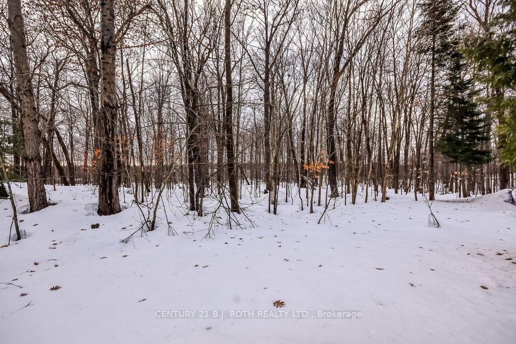 Photo 40 of 105 Pine Ridge Gate, Gravenhurst, Muskoka (S) — HOMEH