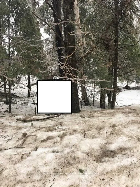 Photo of 1173 South Baptiste Lake Road