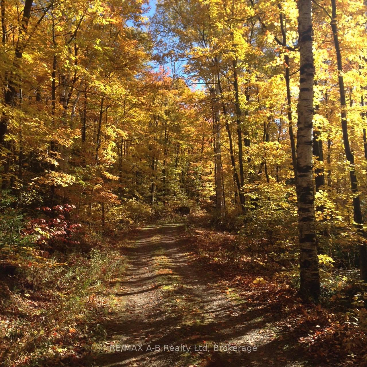 Photo 17 of Unit 4, 903 McRae Hay Lake Road, South Algonquin — HOMEH