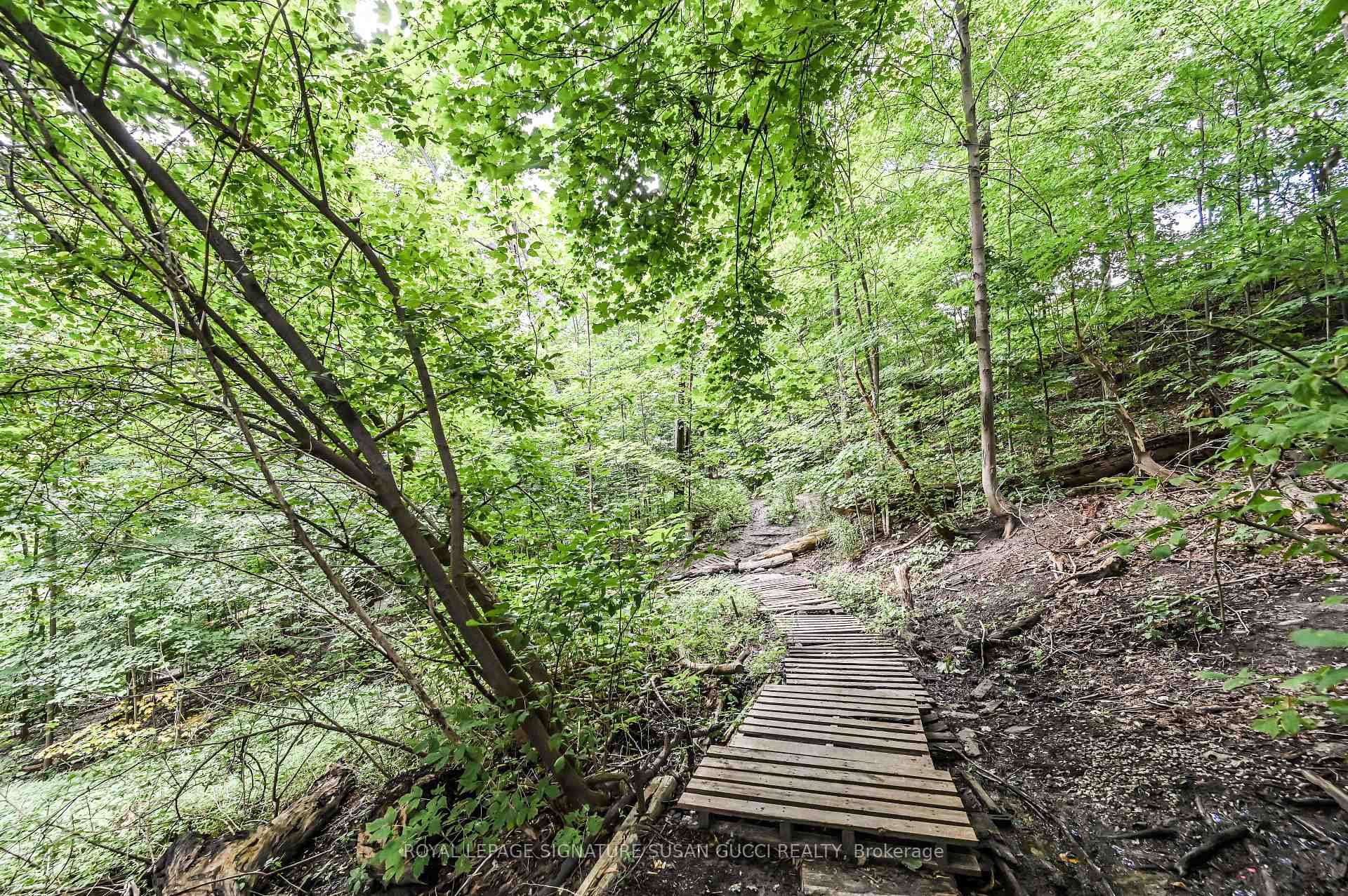 Photo 39 of 8 Alder Road, Toronto, O'Connor-Parkview — HOMEH