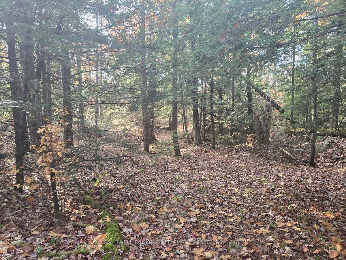 Photo 2 of 10685 Road 38, Frontenac, Frontenac Centre — HOMEH