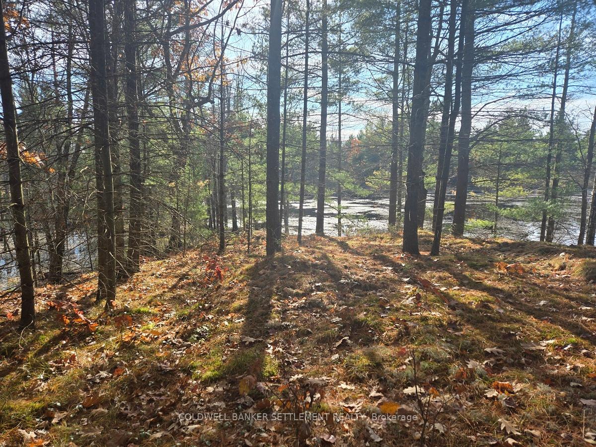 Photo 4 of 10685 Road 38, Frontenac, Frontenac Centre — HOMEH