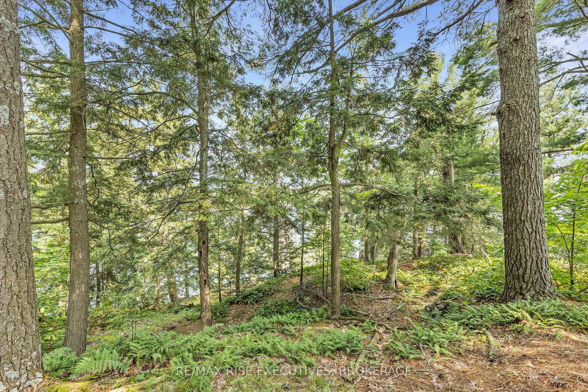 Photo 21 of 1326 Ridge Lane, Frontenac, Frontenac South — HOMEH