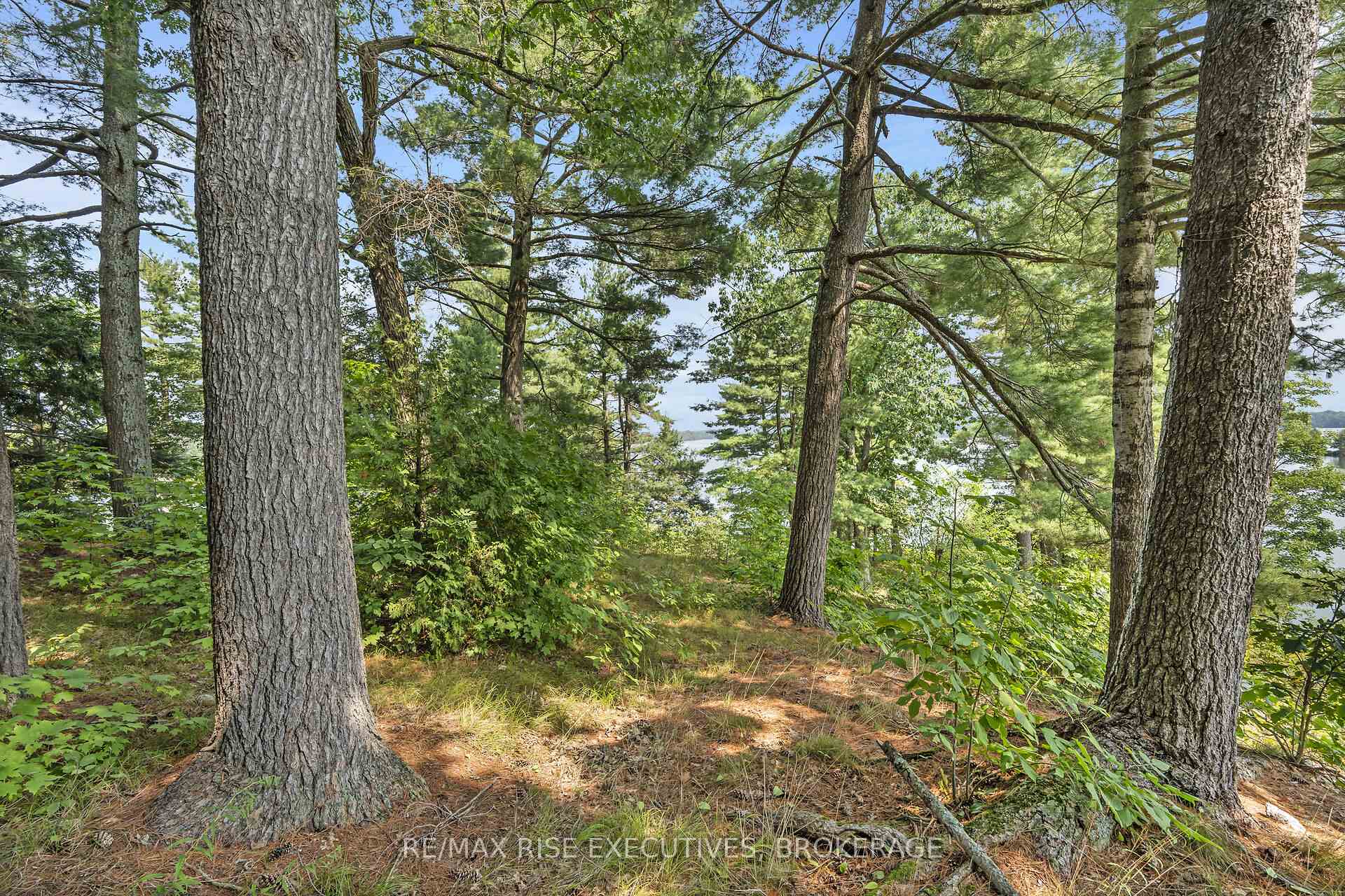 Photo 23 of 1326 Ridge Lane, Frontenac, Frontenac South — HOMEH