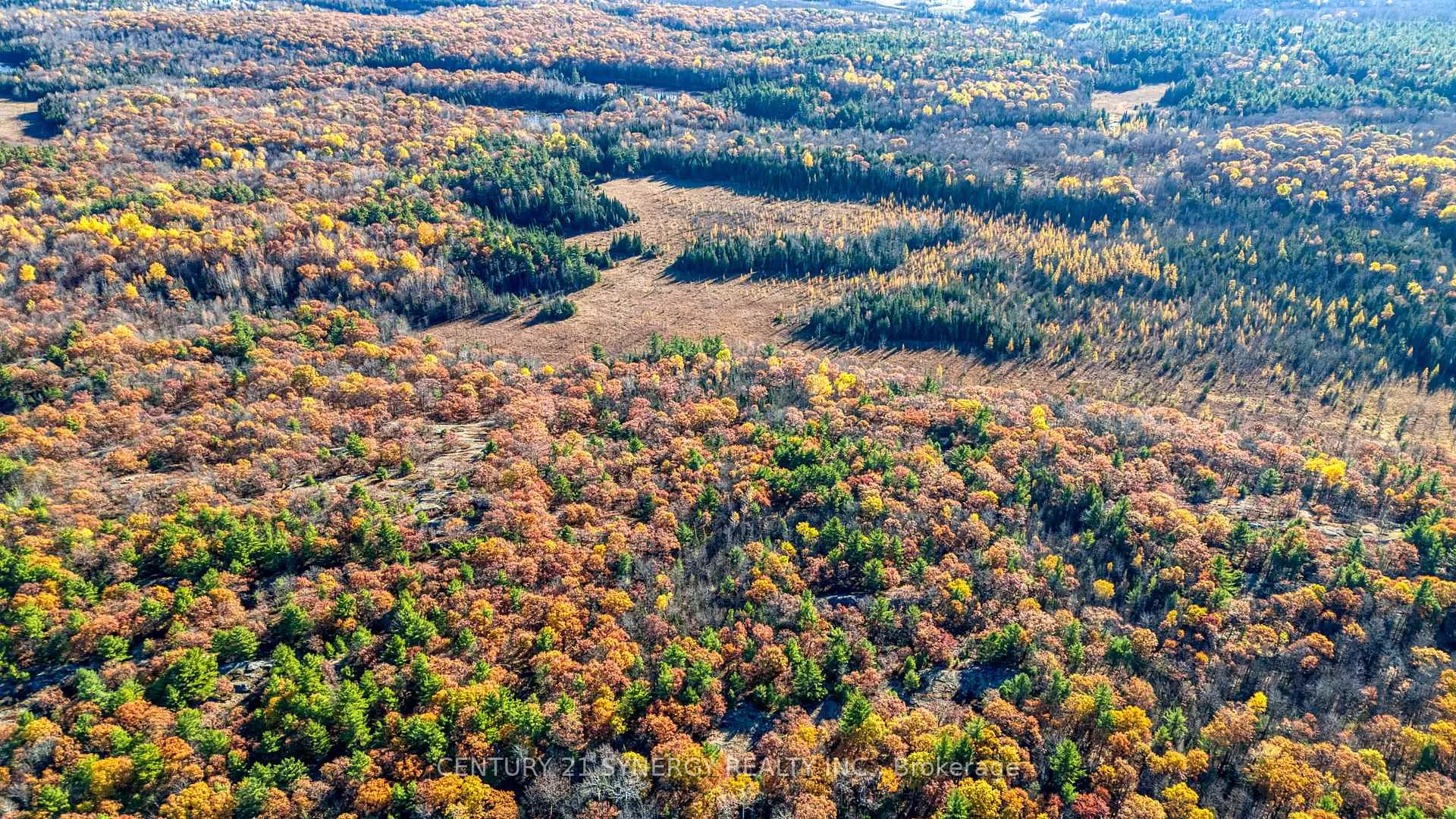 Photo 7 of 1534 Ardoch Road, Frontenac, Frontenac Centre — HOMEH