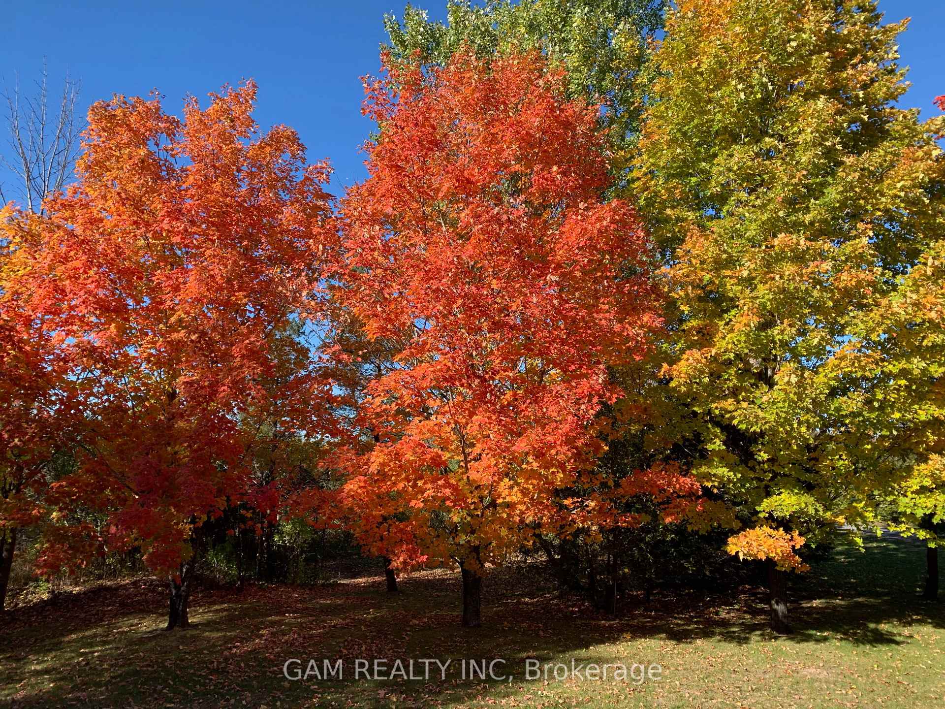 Photo 1 of 5355 Hinchinbrooke Road, Frontenac, Frontenac South — HOMEH