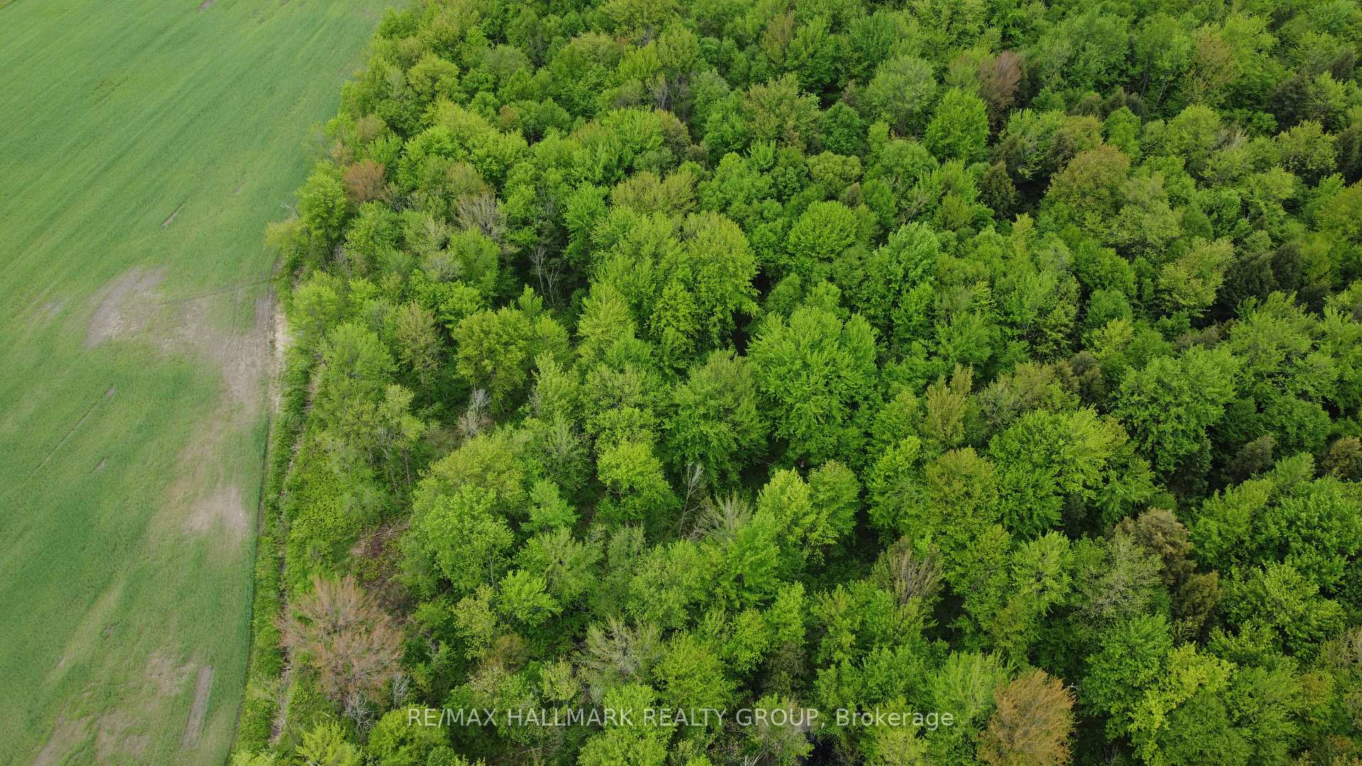 Photo 18 of 741 Concession road 2 E, The Nation, The Nation Municipality — HOMEH