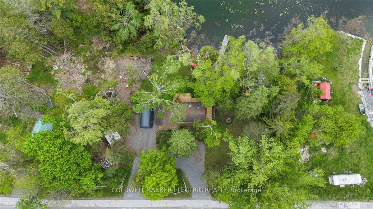 Photo 39 of 979 Water Street, Douro-Dummer — HOMEH