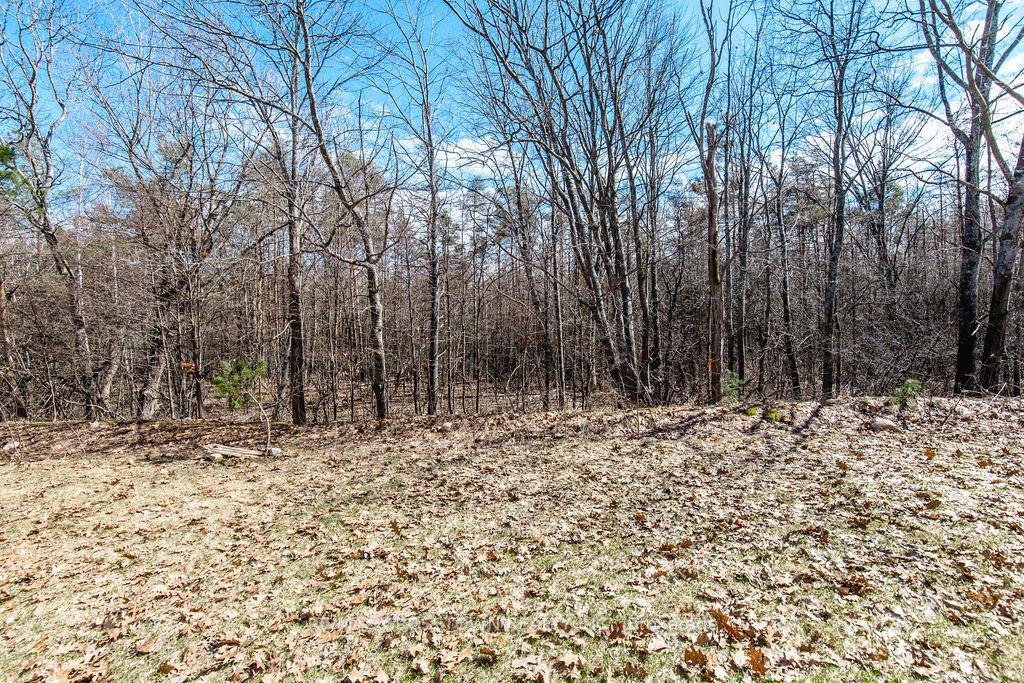 Photo 47 of 30 Lahey Crescent, Penetanguishene — HOMEH