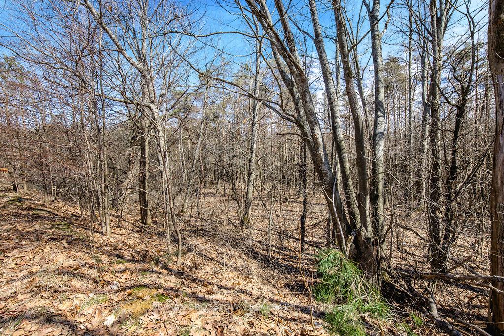Photo 48 of 30 Lahey Crescent, Penetanguishene — HOMEH