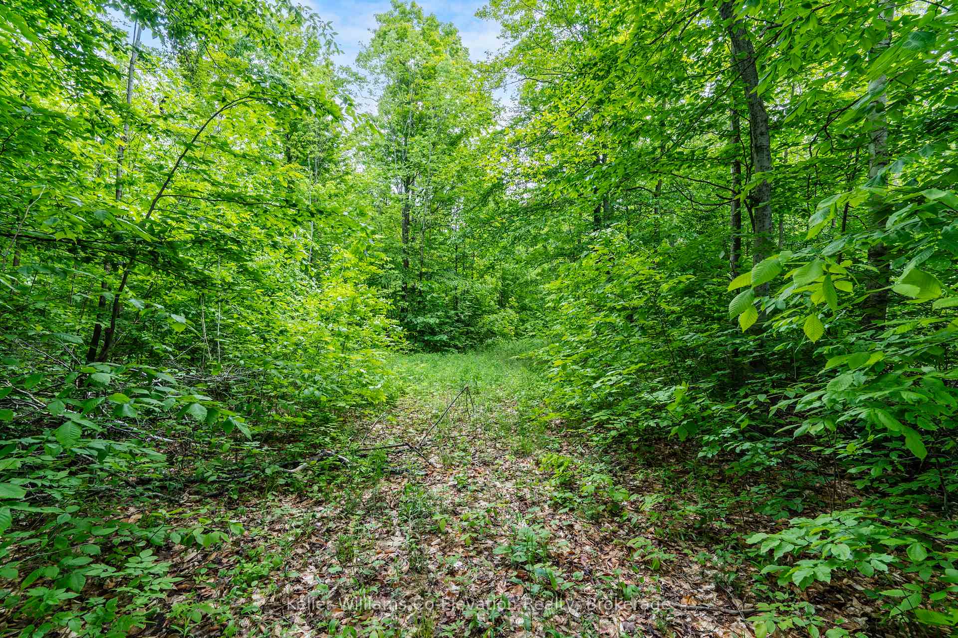 Photo 5 of PT LT 7 Concession 14 Road, Tiny, Rural Tiny — HOMEH