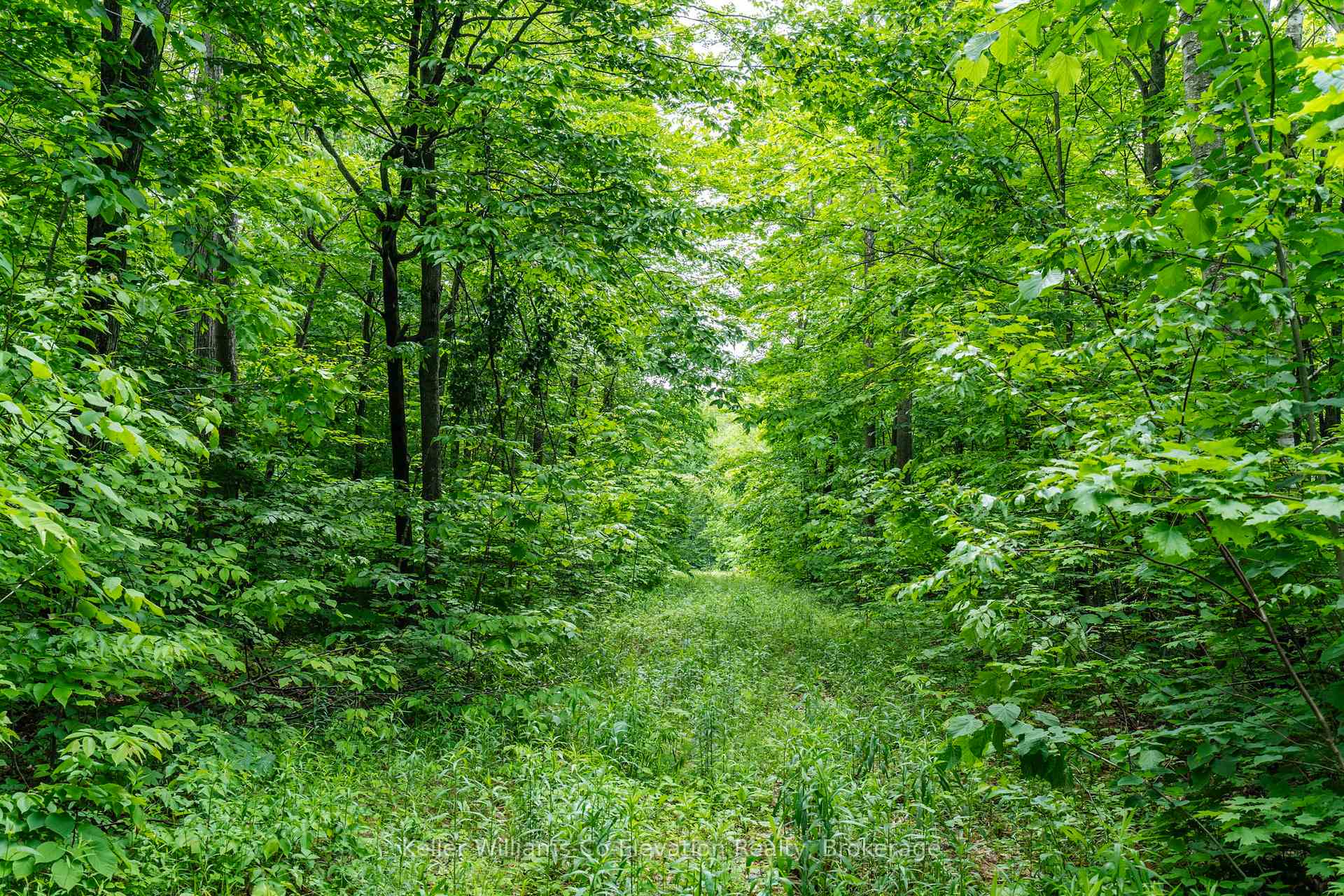 Photo 11 of PT LT 7 Concession 14 Road, Tiny, Rural Tiny — HOMEH
