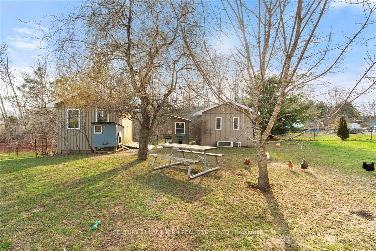 Photo 19 of 268 Henry Street, Stirling-Rawdon, Stirling Ward — HOMEH