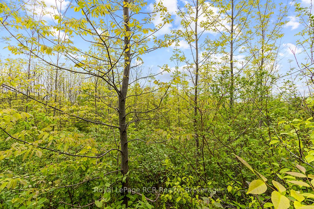 Photo 30 of Conc 11, Meaford — HOMEH
