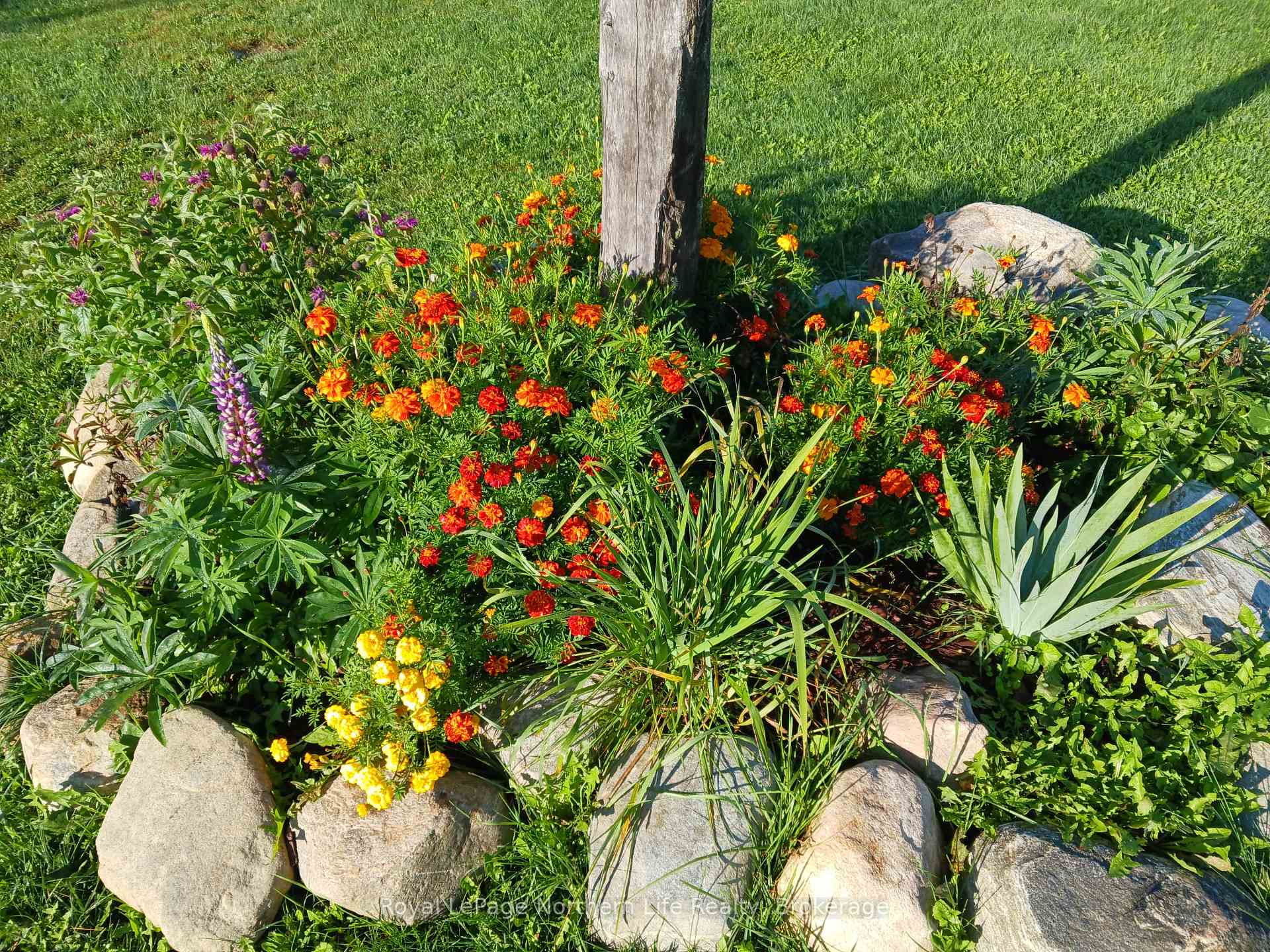 Photo 35 of 230 Burke Drive, Mattawan — HOMEH